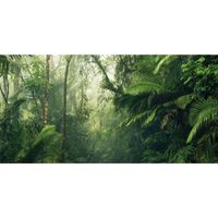 Vlies Fototapete - Tropenwelten - Größe 500 x 250 cm