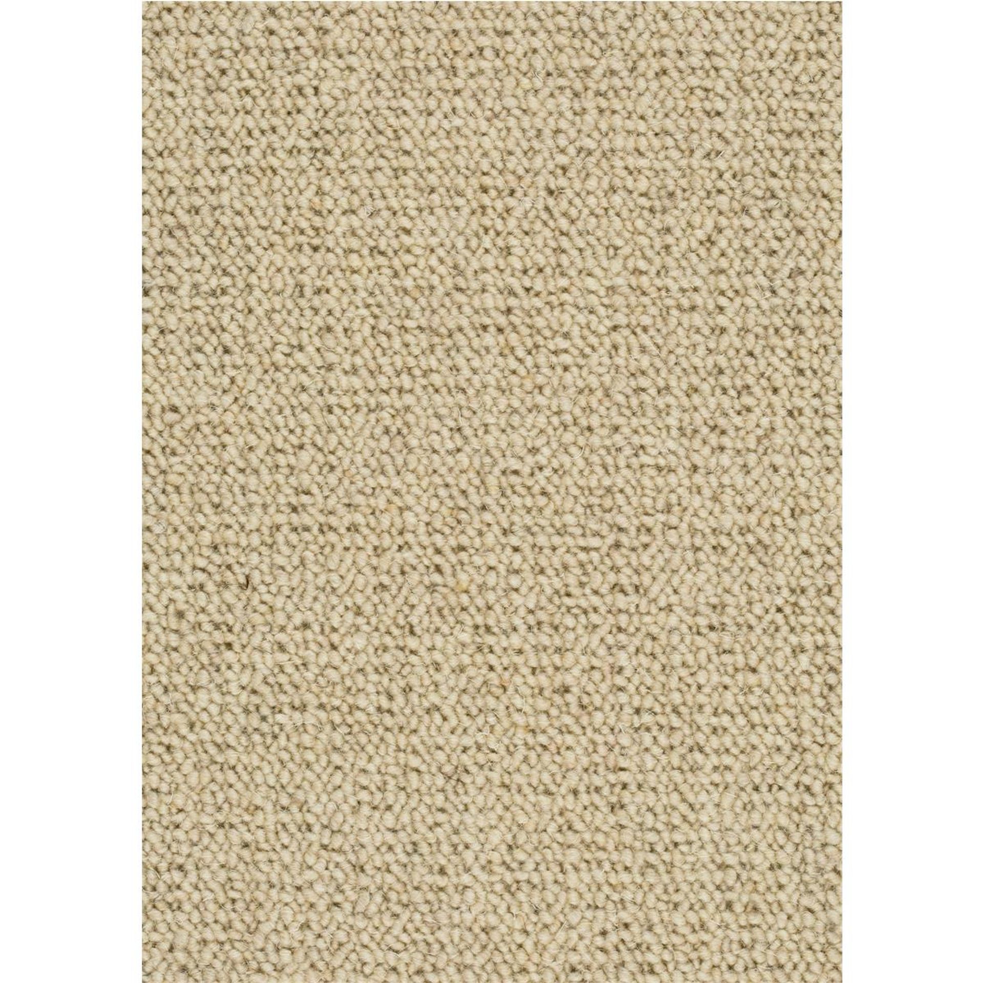 Teppichboden Schurwolle Kennedy Farbe 212 Rollenbreite: 400 cm