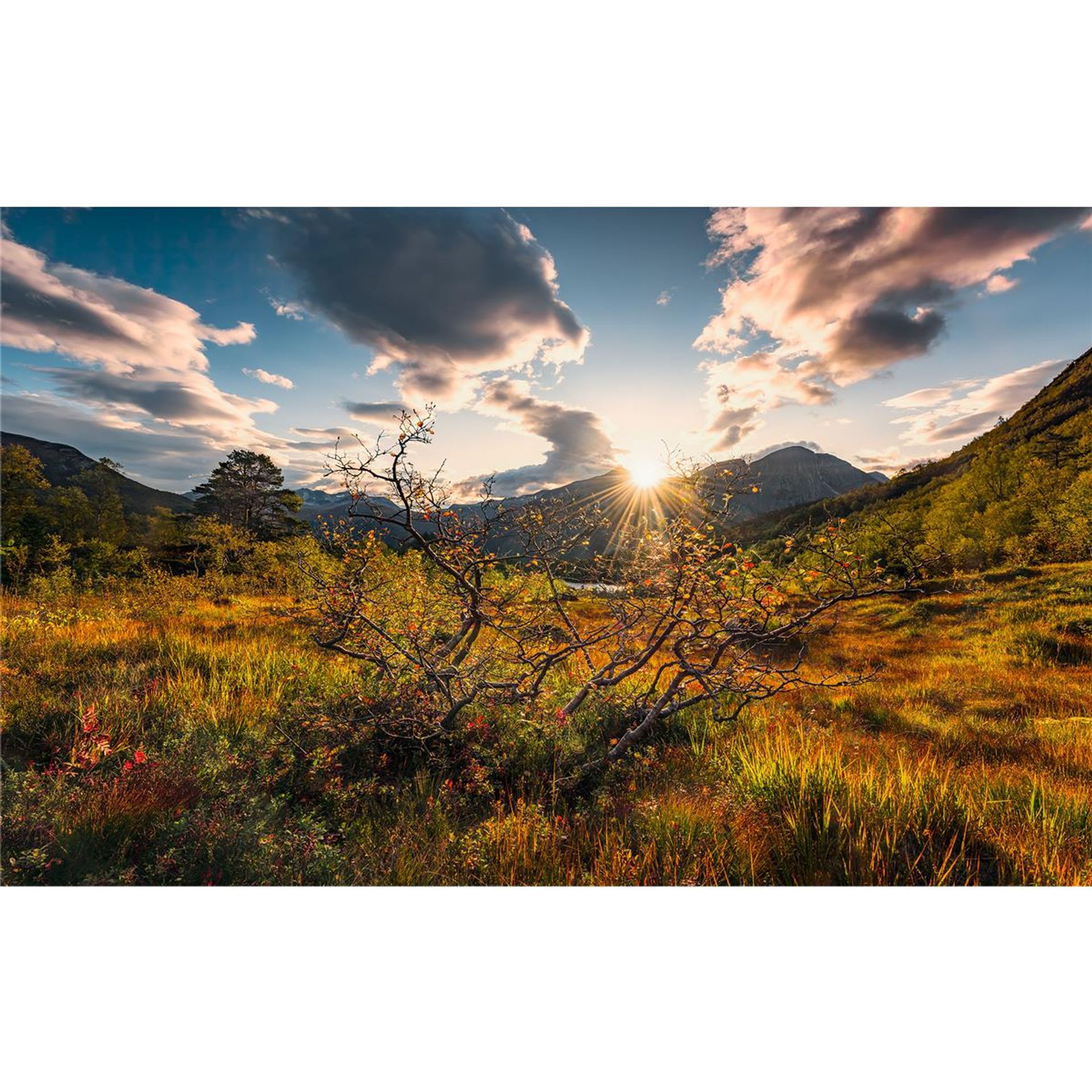 Vlies Fototapete - Norwegische Herbstwelten - Größe 450 x 280 cm