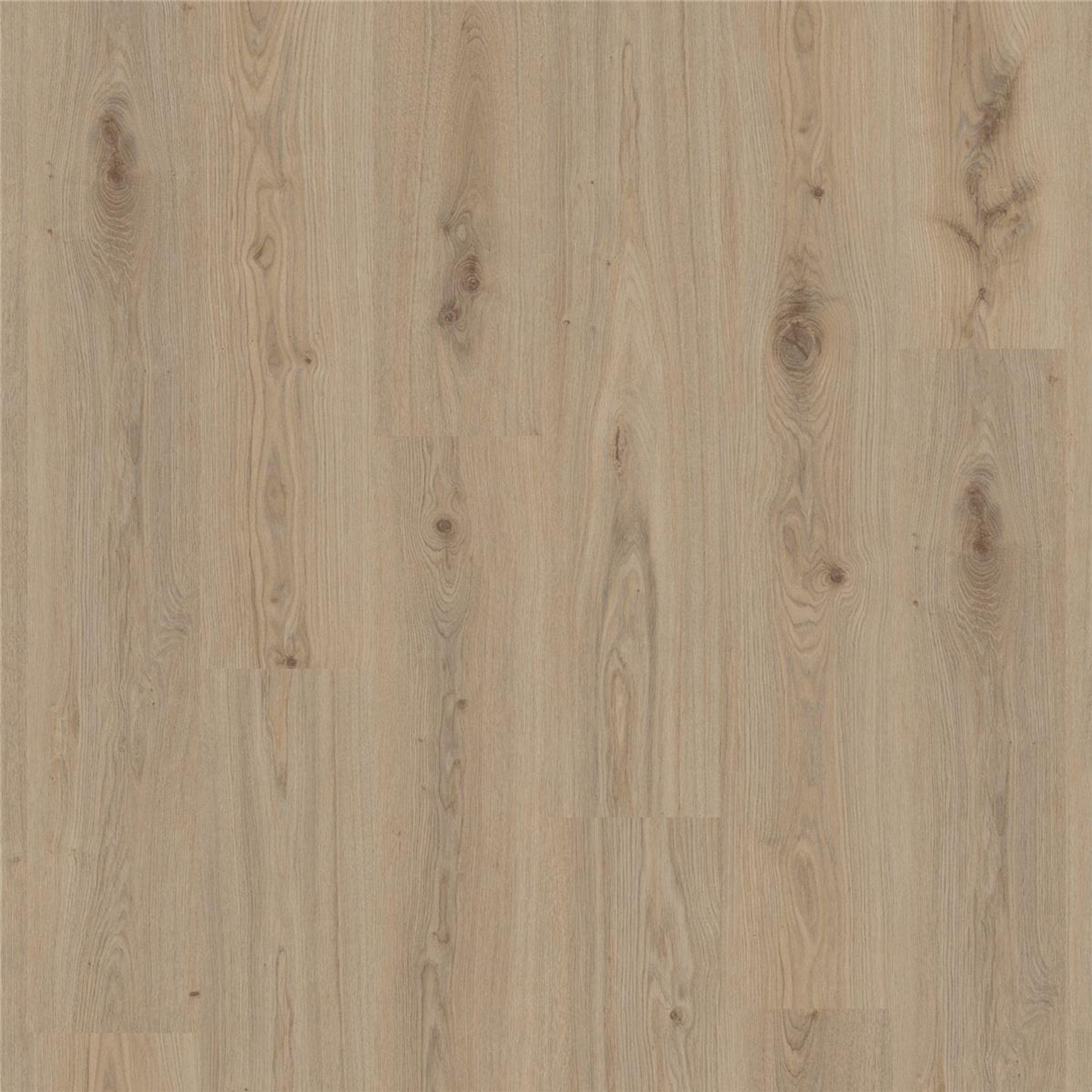 Designboden Delicate Oak NATURAL Planke 121,3 cm x 17,6 cm - Nutzschichtdicke 0,55 mm