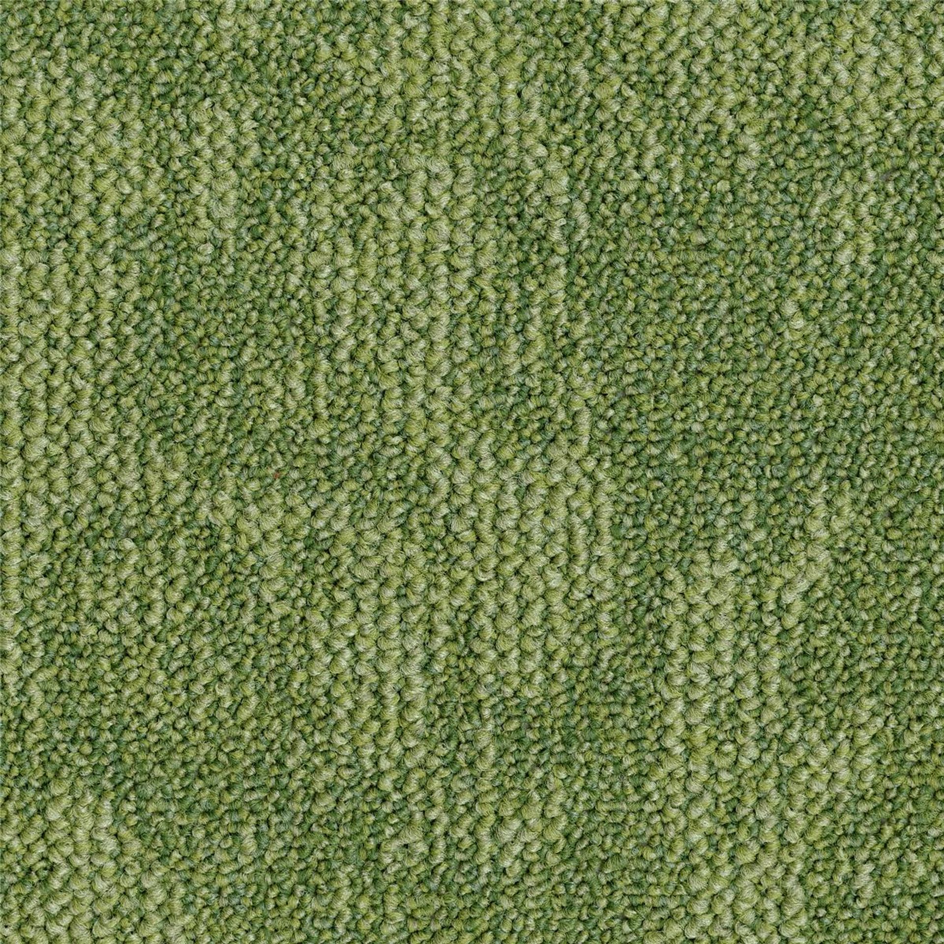 Teppichfliesen 50 x 50 cm Schlinge strukturiert Desert B882 7184 Grün Organisch