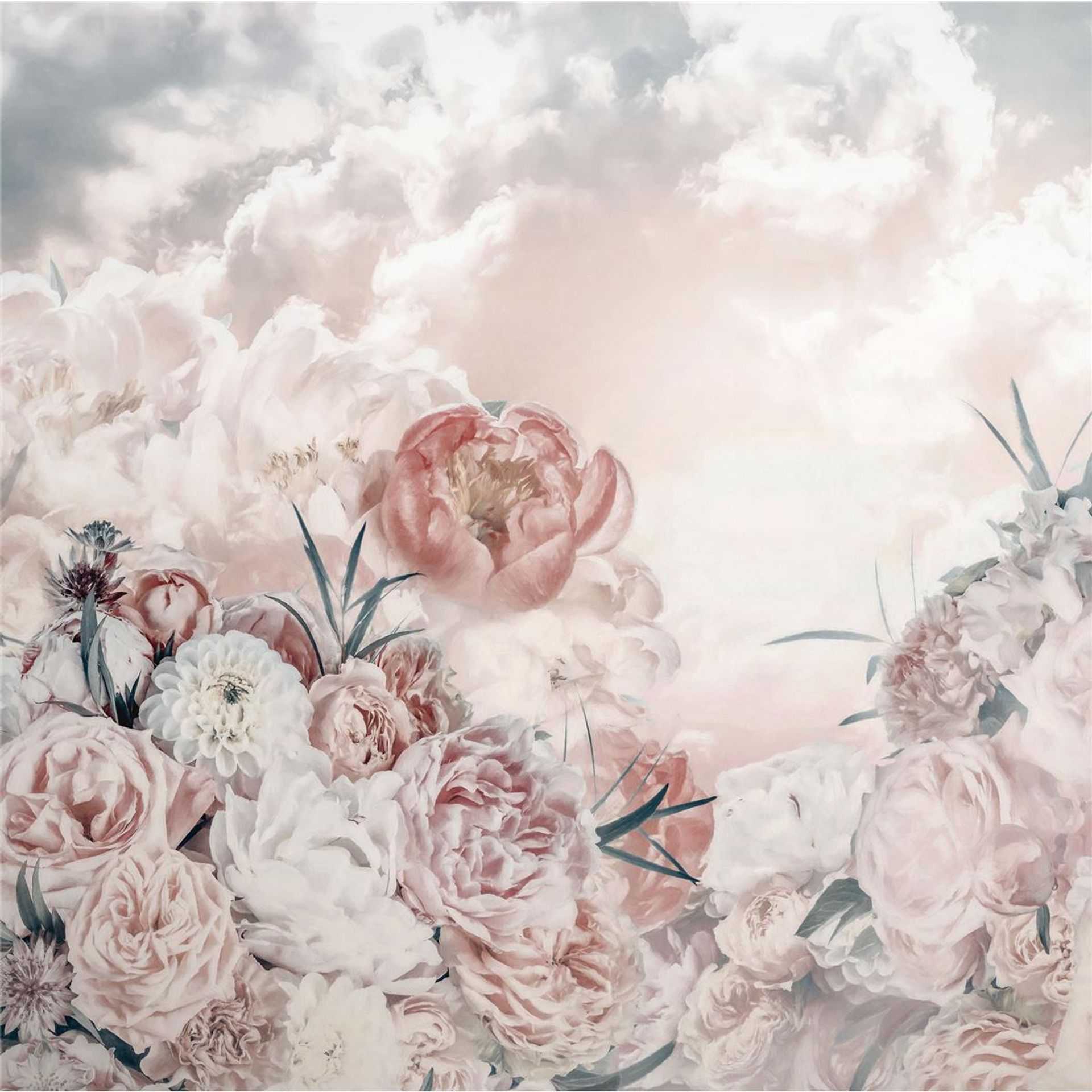Vlies Fototapete - Blossom Clouds - Größe 250 x 250 cm