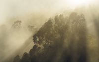 Vlies Fototapete - Misty Mountain - Größe 400 x 250 cm