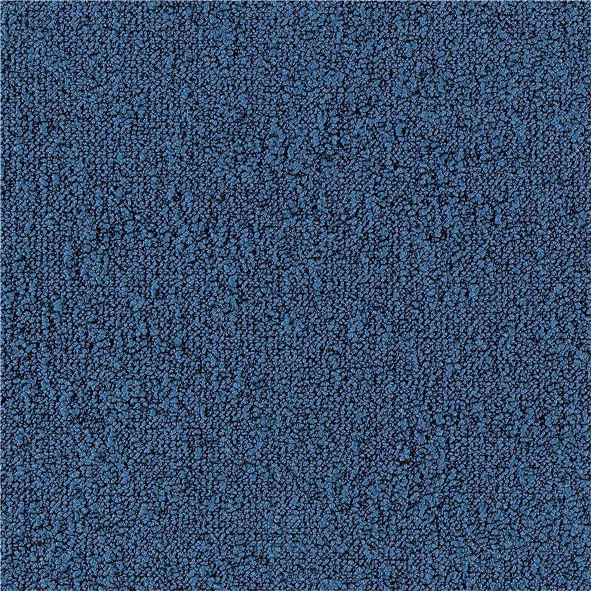 Teppichfliesen 50 x 50 cm Schlinge strukturiert Fields B751 8332 Blau Allover