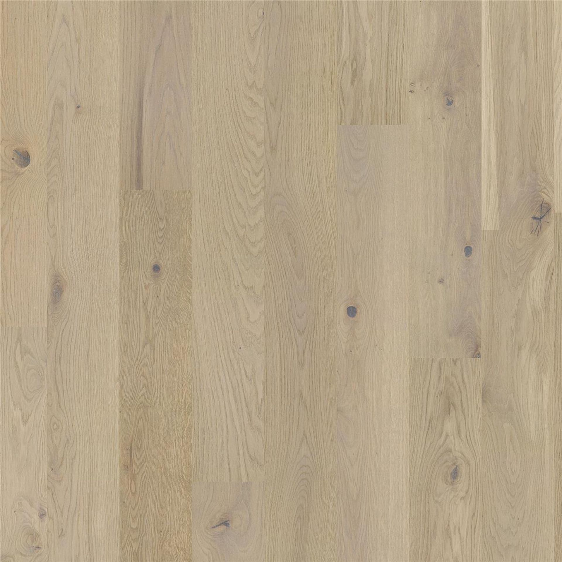 Holzboden Eiche Soft beige gebürstet 1 Stab MADRID-TB15 Planke 162 x 2200 mm