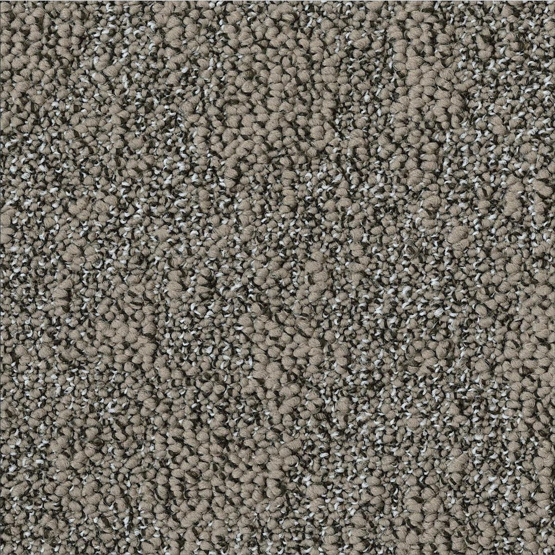 Teppichfliesen 50 x 50 cm Schlinge strukturiert Granite AA88 9524 Grau Organisch
