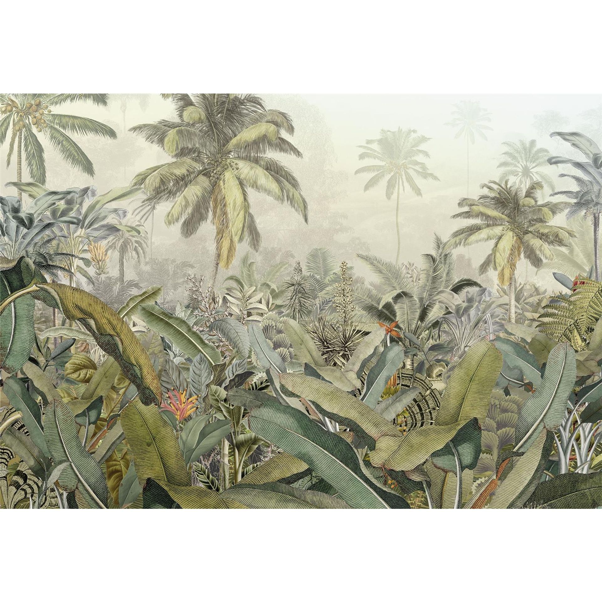 Vlies Fototapete - Amazonia - Größe 368 x 248 cm