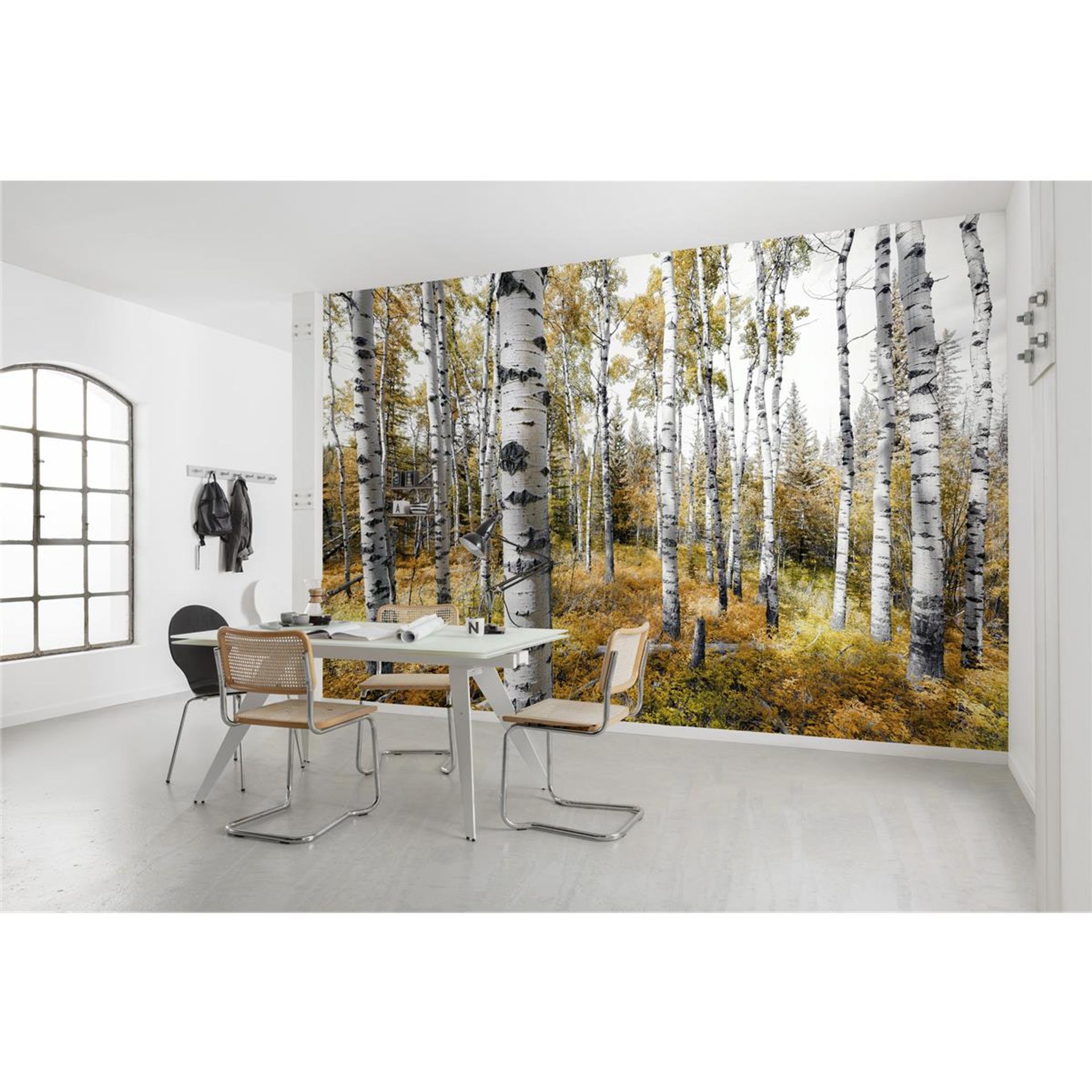 Vlies Fototapete - Colorful Aspenwoods - Größe 450 x 280 cm