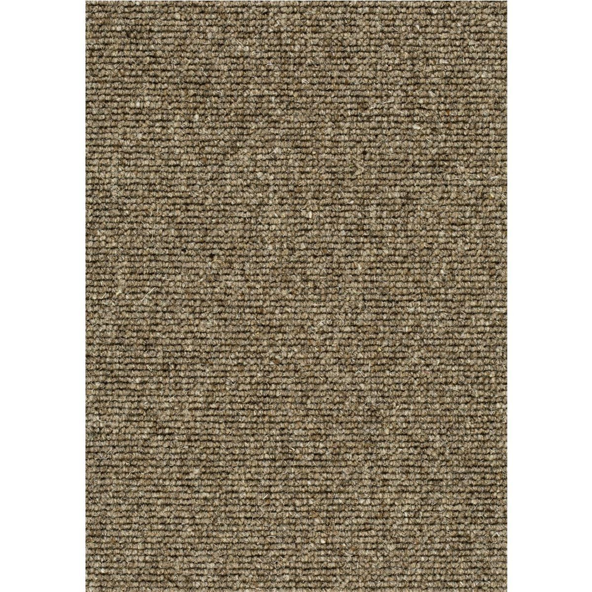 Teppichboden Schurwolle Harvard Farbe 133 Rollenbreite: 500 cm