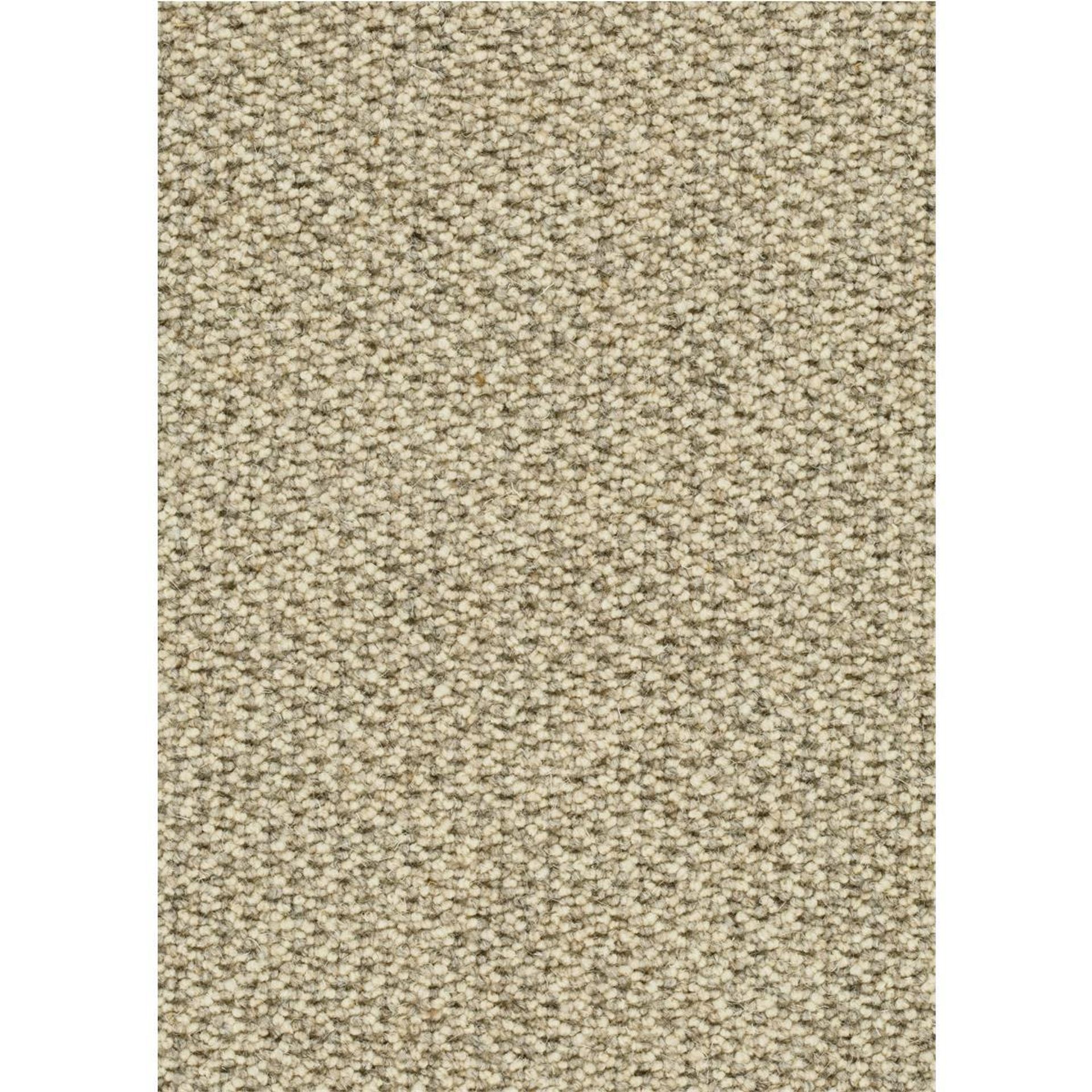 Teppichboden Schurwolle Amsterdam Farbe 122 Rollenbreite: 500 cm
