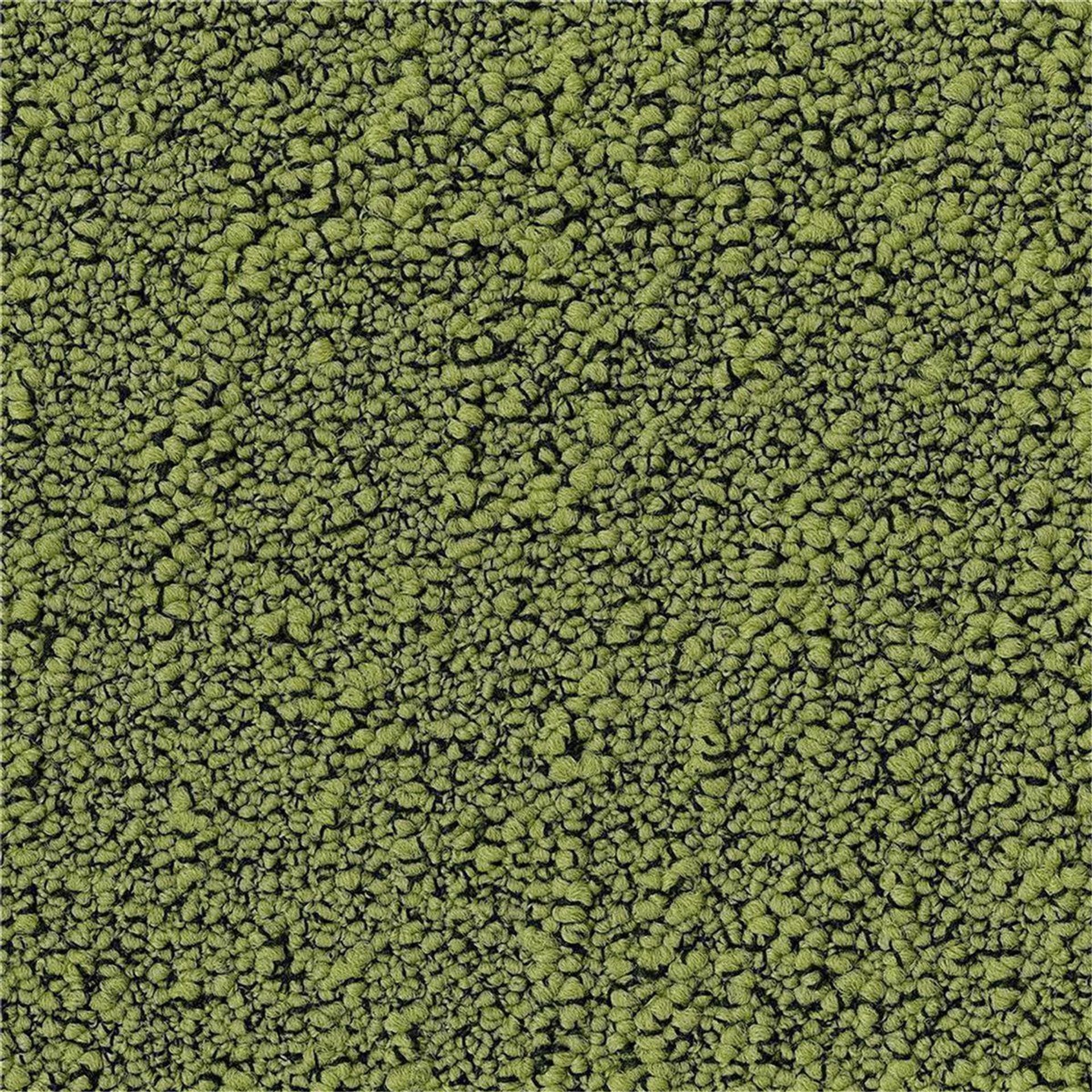 Teppichfliesen 50 x 50 cm Schlinge strukturiert Fields B751 7072 Grün Allover