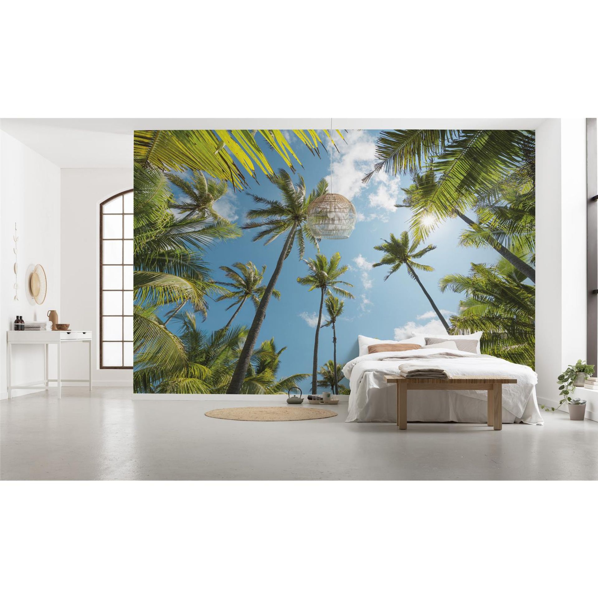 Vlies Fototapete - Coconut Heaven  - Größe 450 x 280 cm