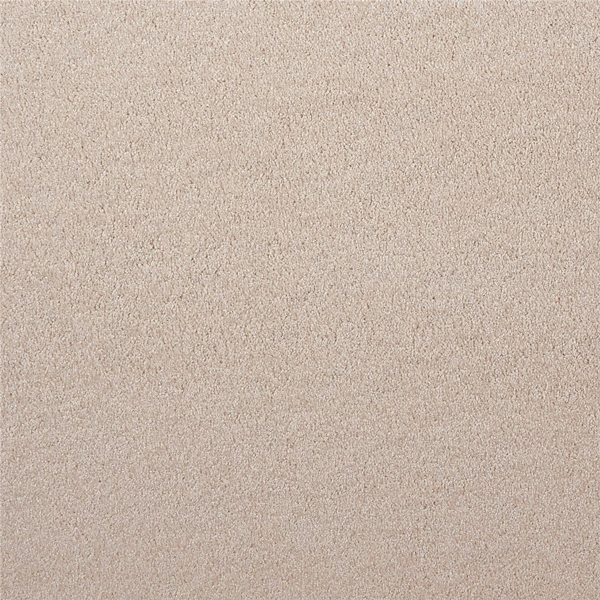 Teppichboden Infloor-Girloon Cashmere-Flair Frisé Weiß 800 uni - Rollenbreite 400 cm