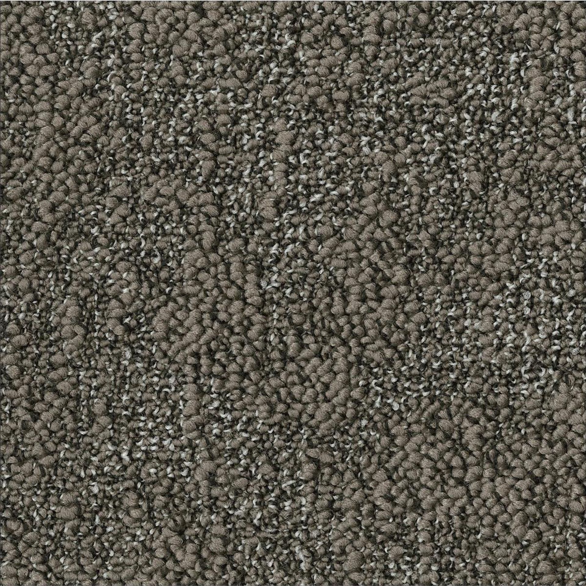 Teppichfliesen 50 x 50 cm Schlinge strukturiert Granite AA88 9523 Grau Organisch