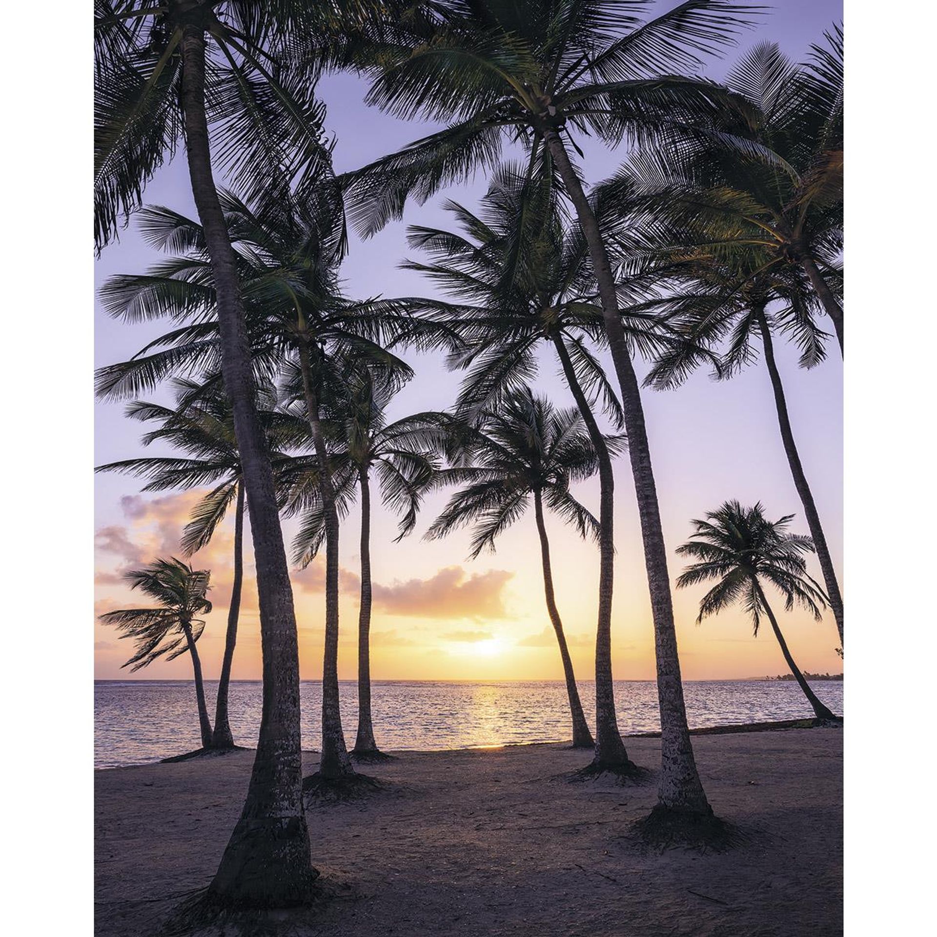Vlies Fototapete - Palmtrees on Beach - Größe 200 x 250 cm