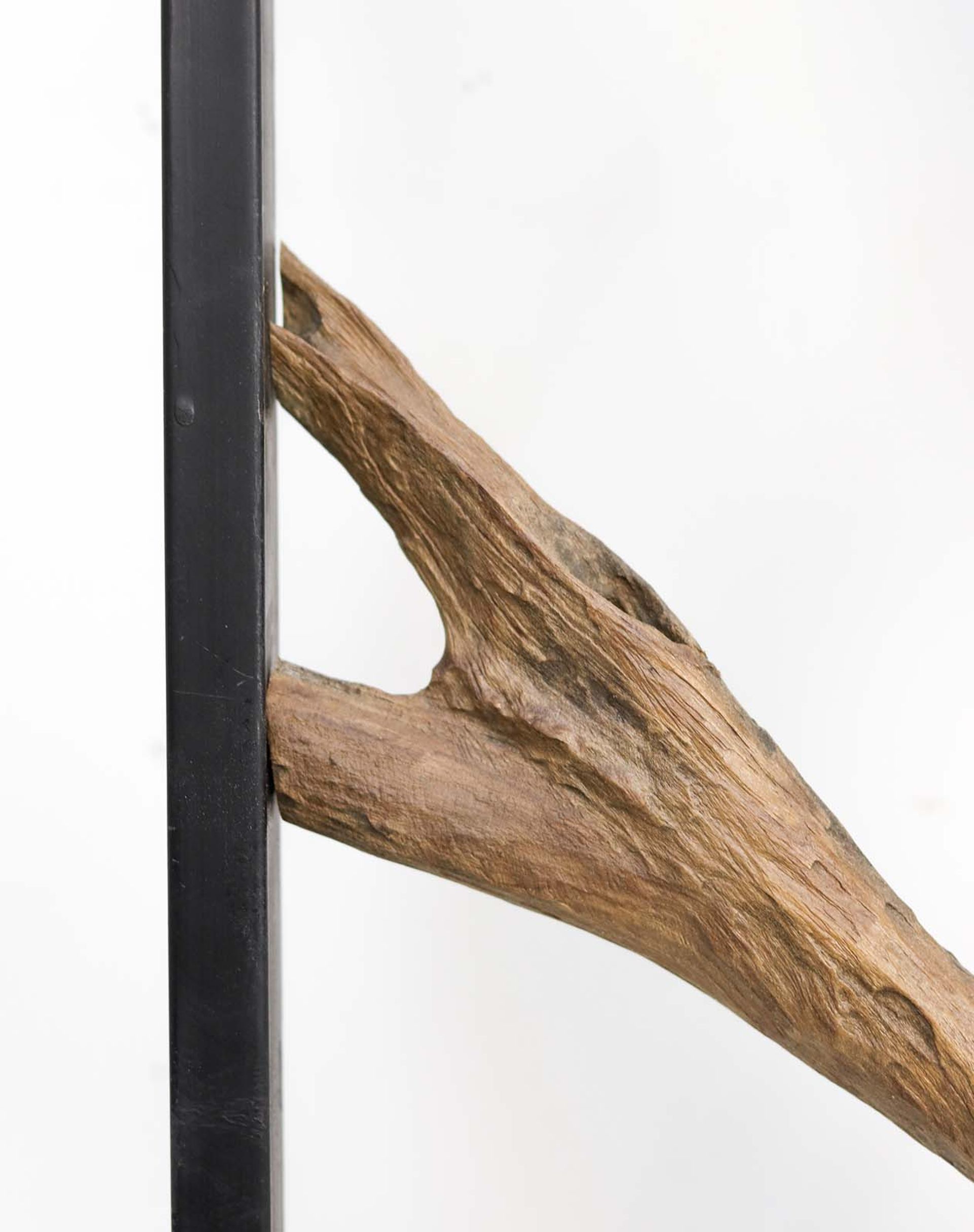 Wanddekoration root EDE-04 Natur/Schwarz Teak Wurzelholz/Metall B/H/T: 12 cm 100 cm 100 cm
