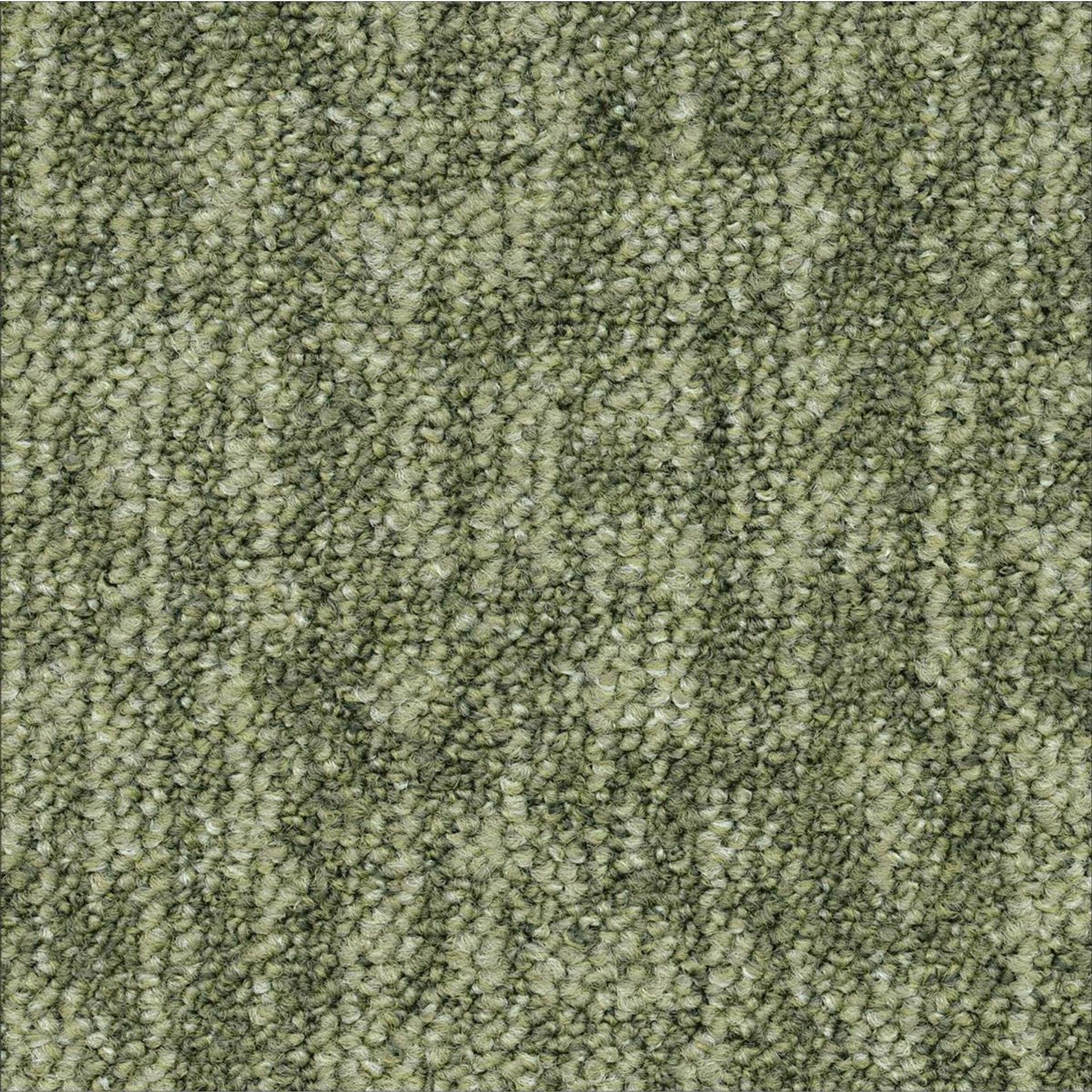 Teppichfliesen 50 x 50 cm Schlinge strukturiert Orchard AB21 7854 Grün Organisch