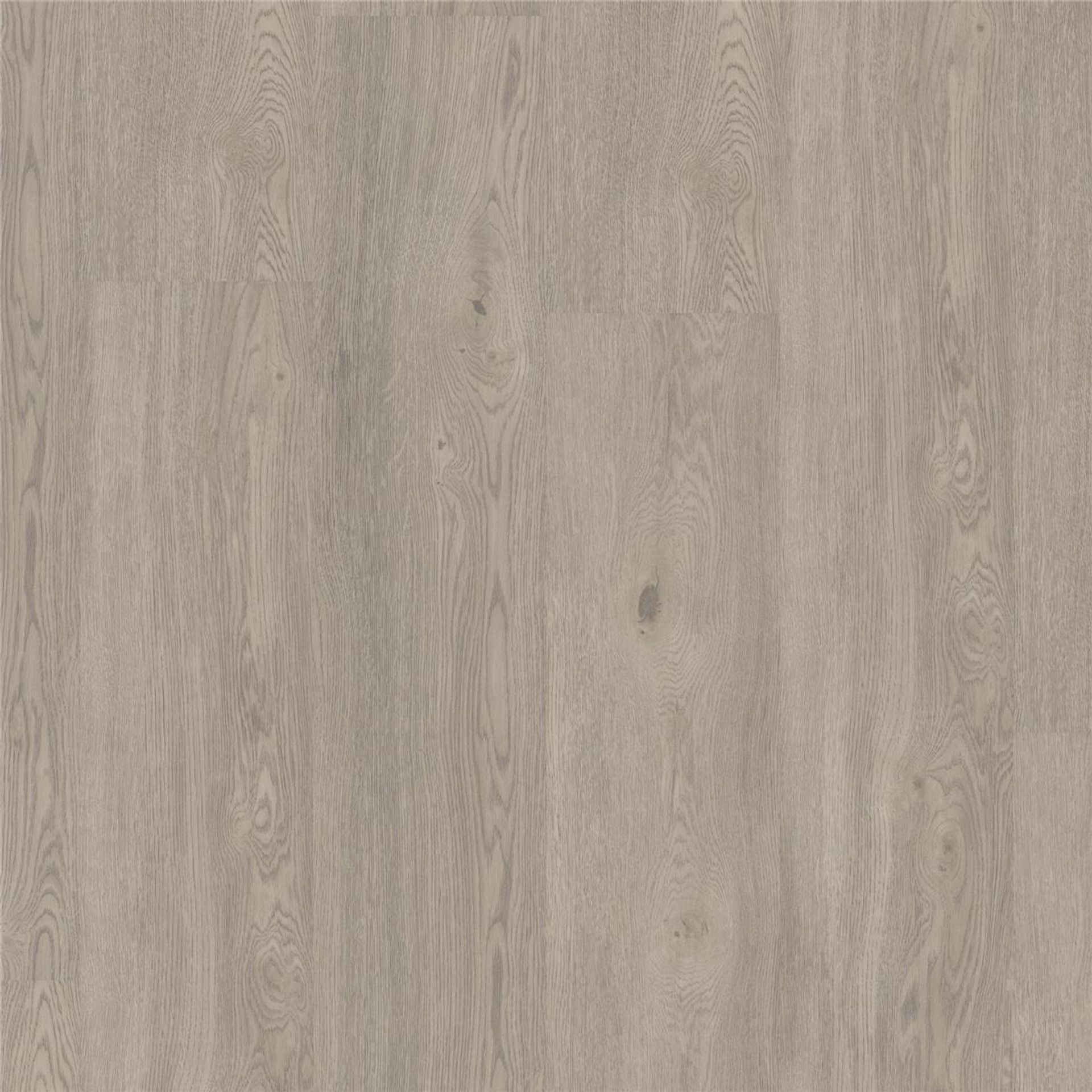 Designboden Living Oak GREY Planke 152,4 cm x 25,4 cm - Nutzschichtdicke 0,55 mm