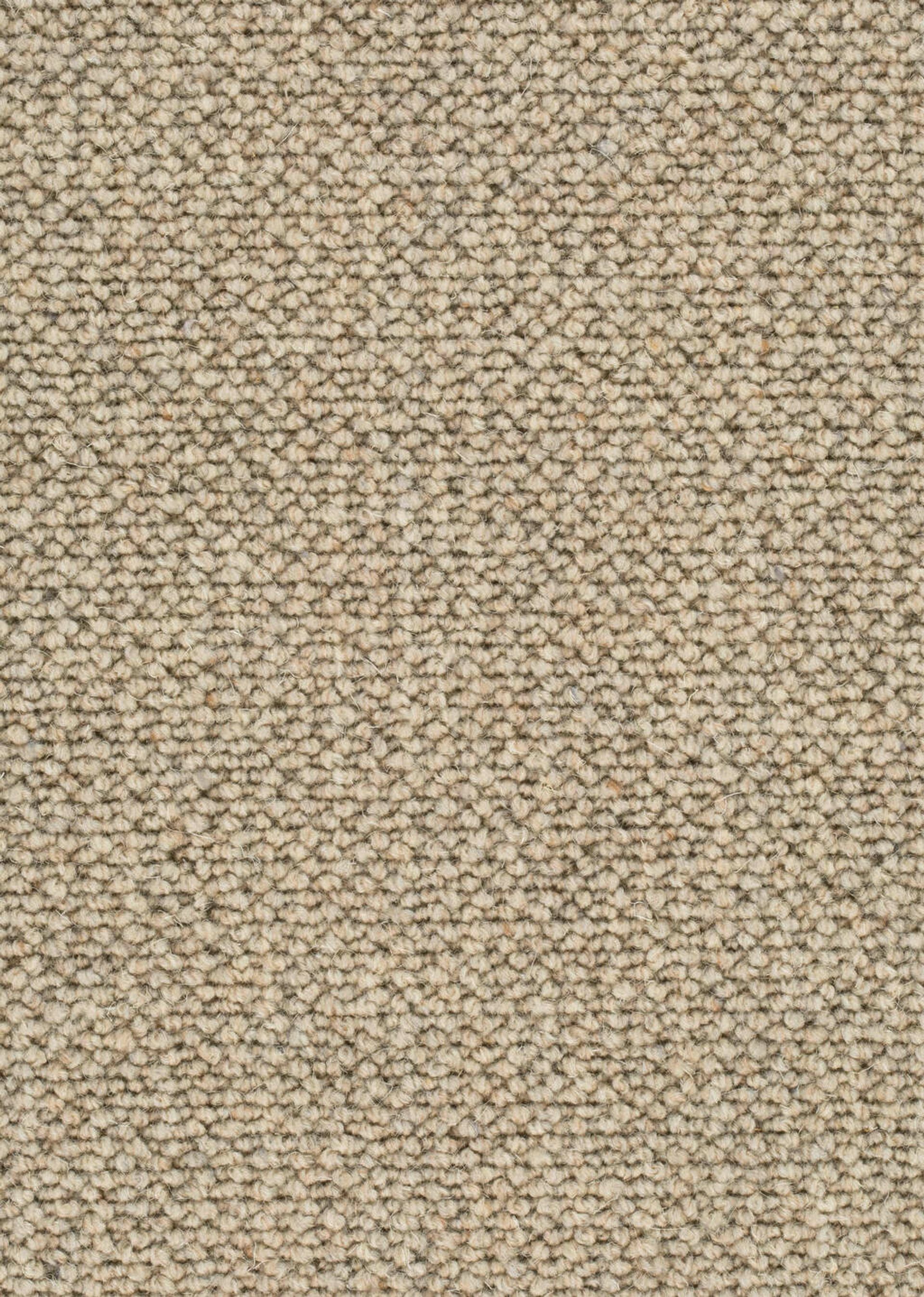 Teppichboden Schurwolle Amir Farbe 316 Rollenbreite: 400 cm