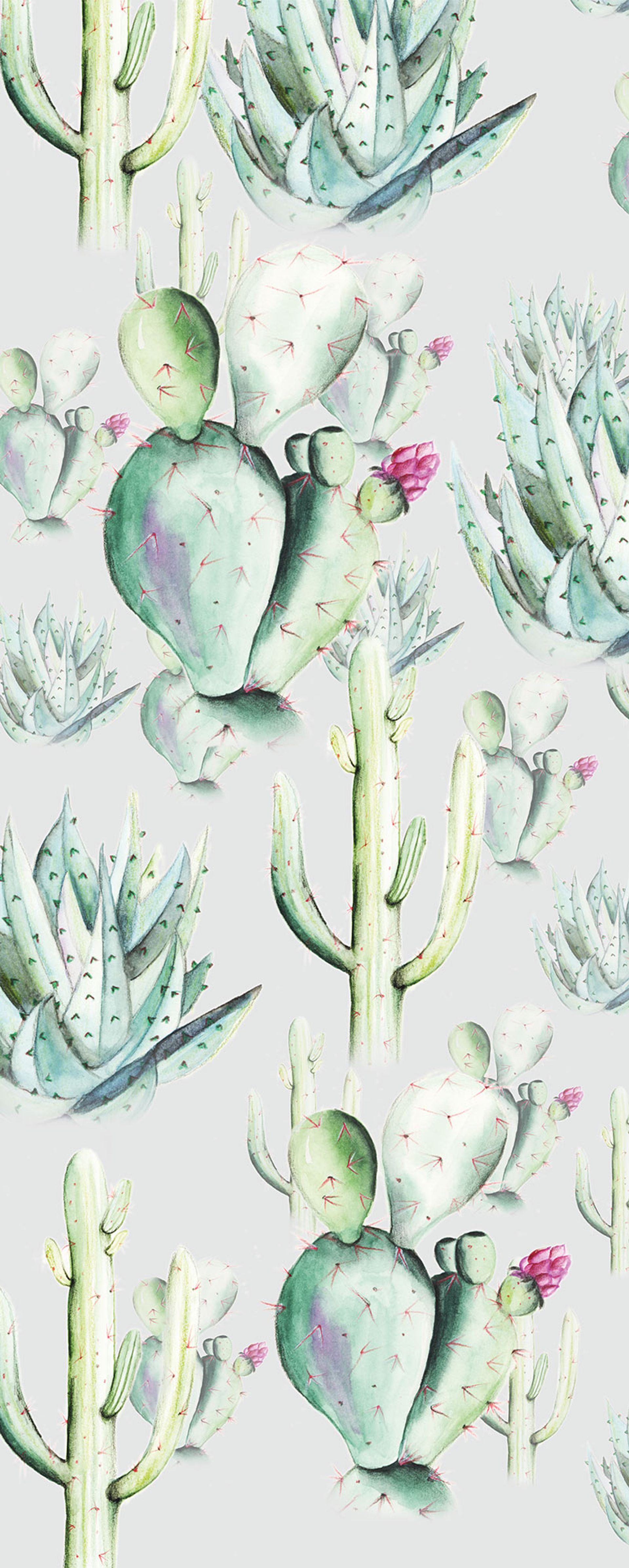 Vlies Fototapete - Cactus Grey Panel - Größe 100 x 250 cm