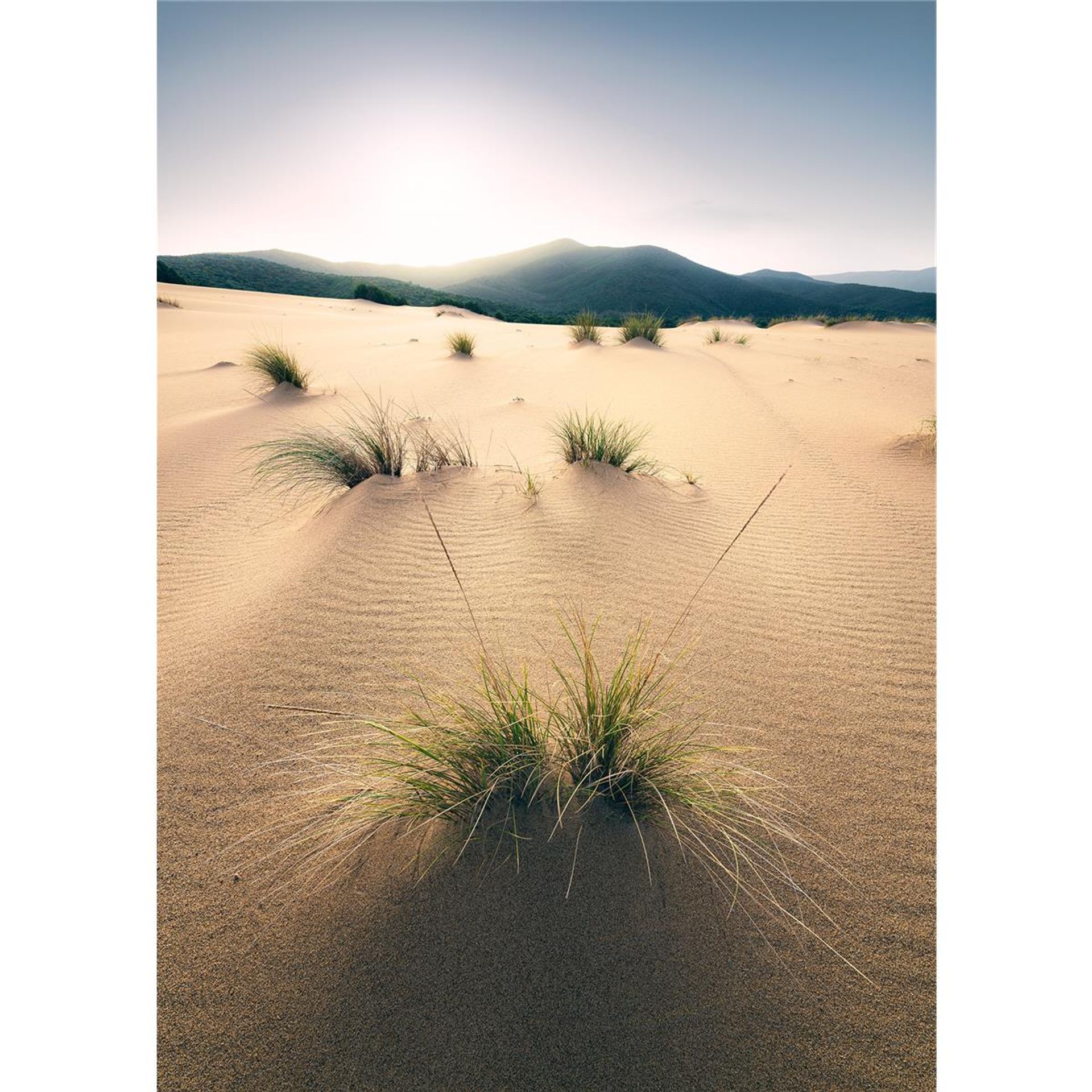 Vlies Fototapete - Vivid Dunes - Größe 200 x 280 cm