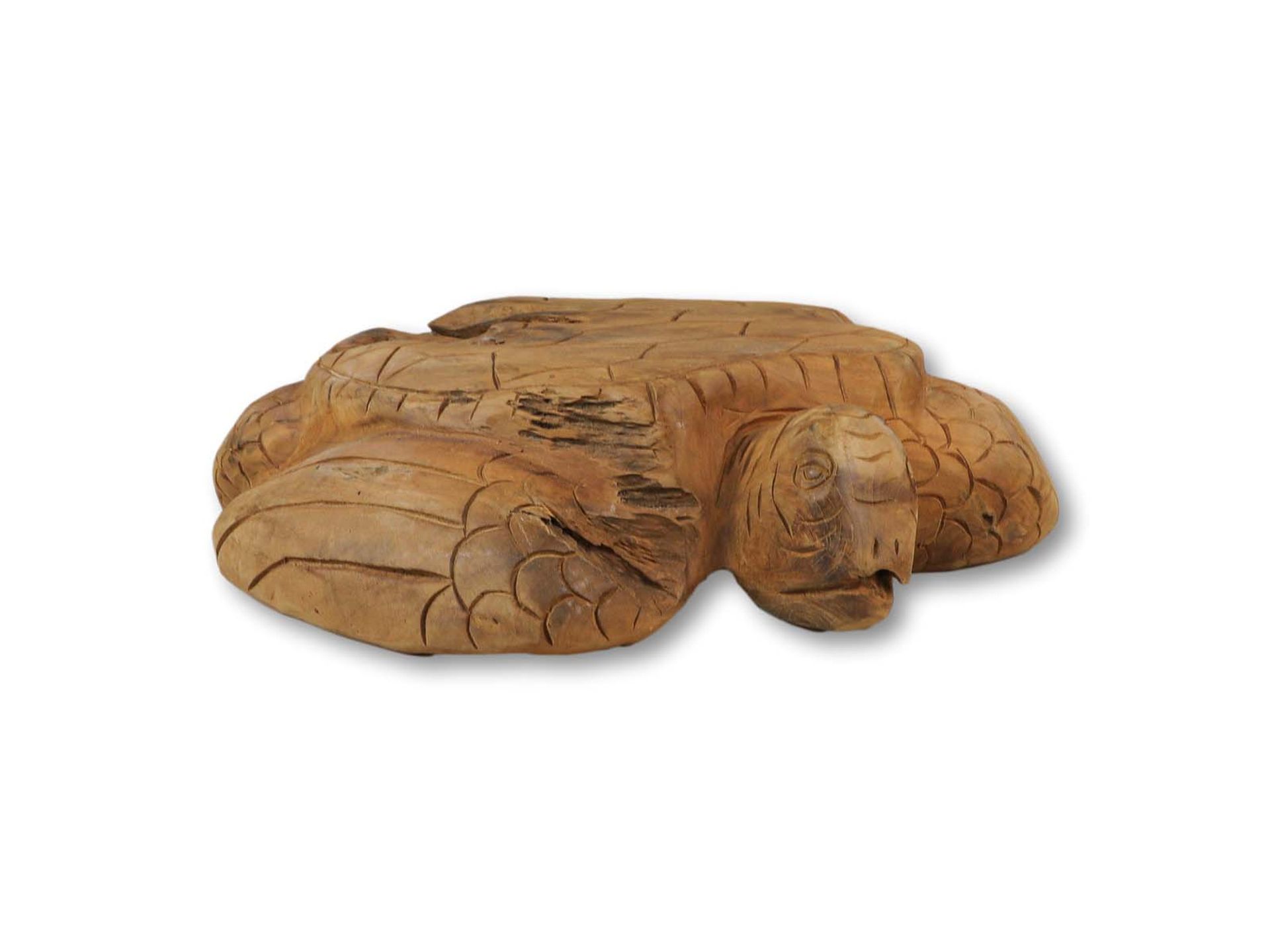 Decorativ turtle Root EDE-04 Natur Teakholz B/H/T: 40 cm 25 cm 55 cm