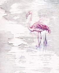 Vlies Fototapete - Pink Flamingo - Größe 200 x 250 cm
