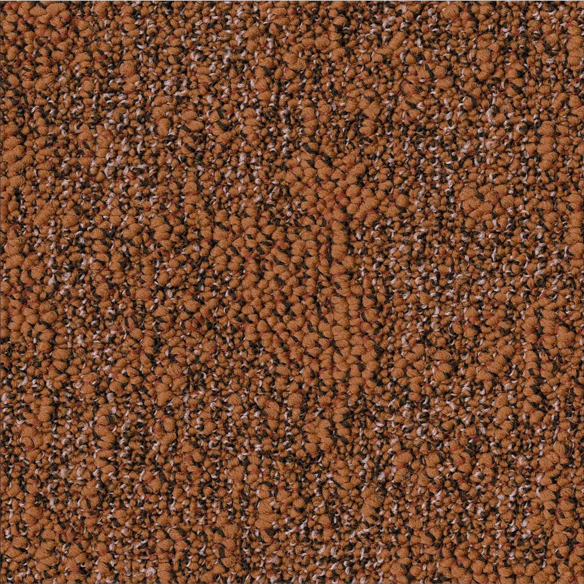 Teppichfliesen 50 x 50 cm Schlinge strukturiert Granite AA88 2068 Orange Organisch