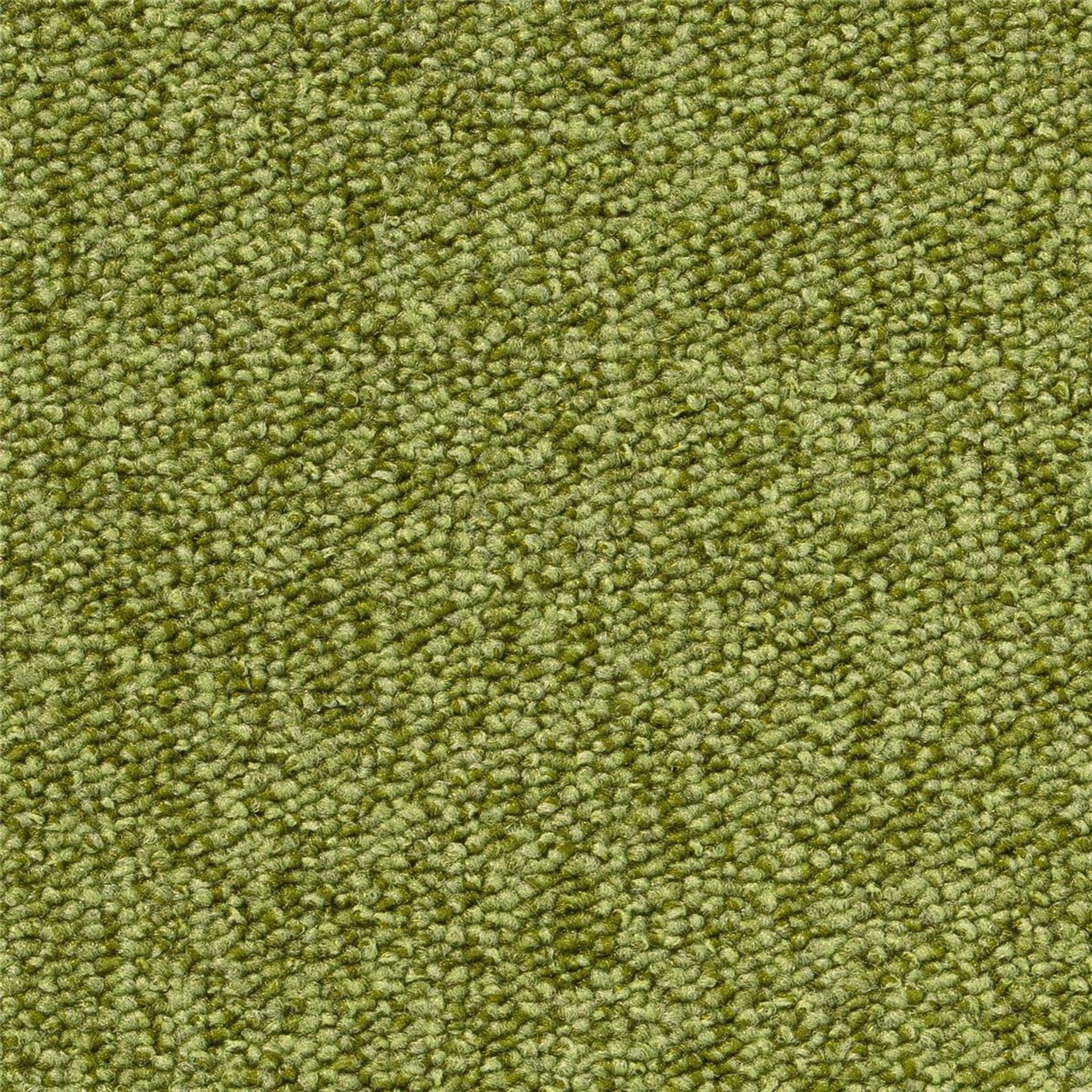 Teppichboden Vorwerk Passion 1005 RONDO Schlinge Grün 4H16 - Rollenbreite 500 cm