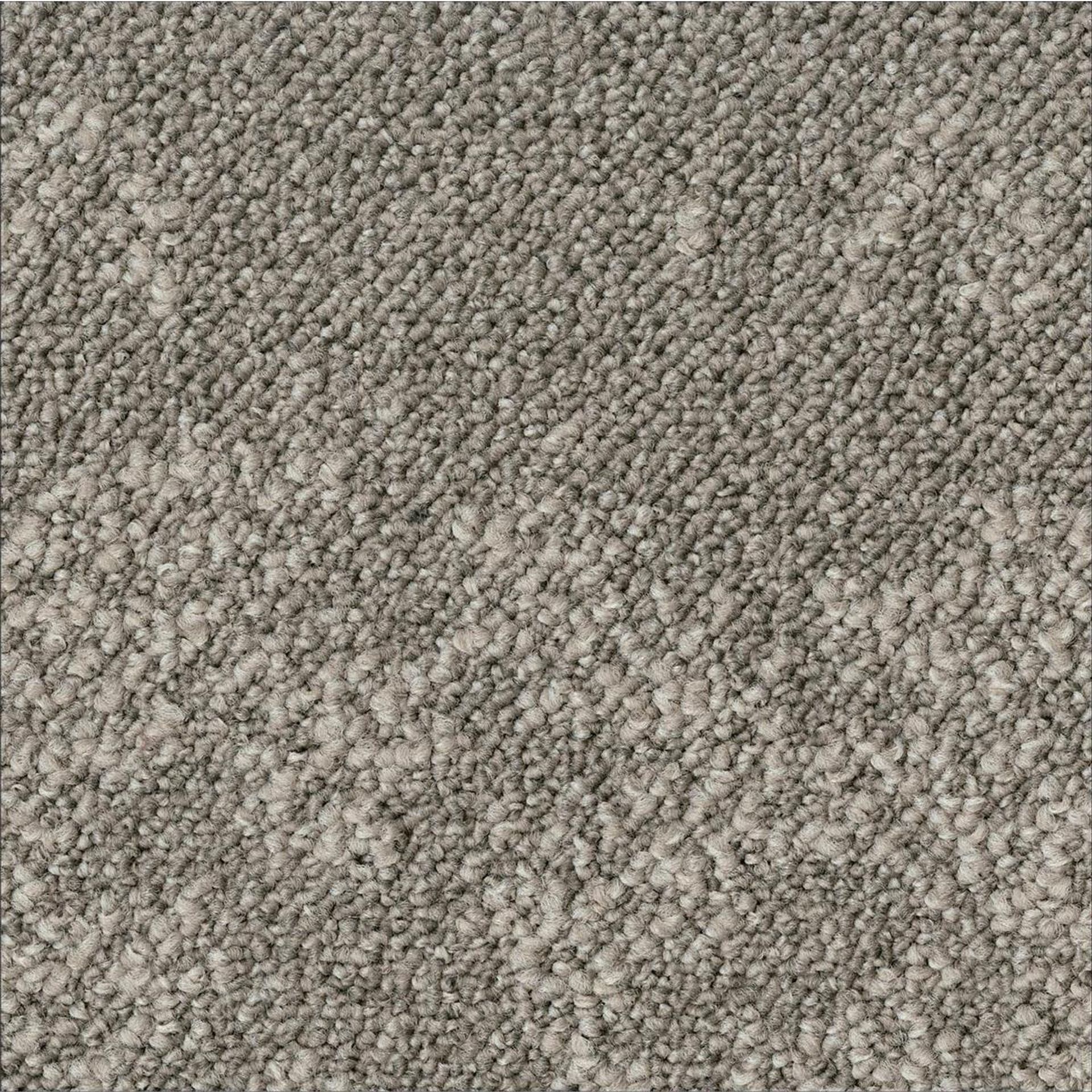 Teppichfliesen 50 x 50 cm Schlinge strukturiert Arable AA86 9106 Grau Organisch