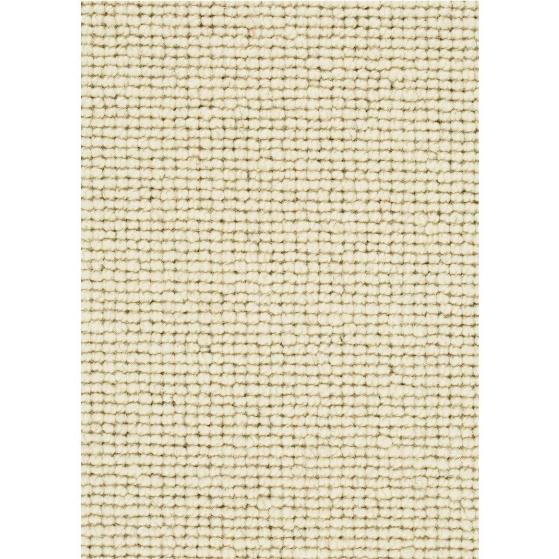 Teppichboden Schurwolle Bali Farbe 112 Rollenbreite: 500 cm