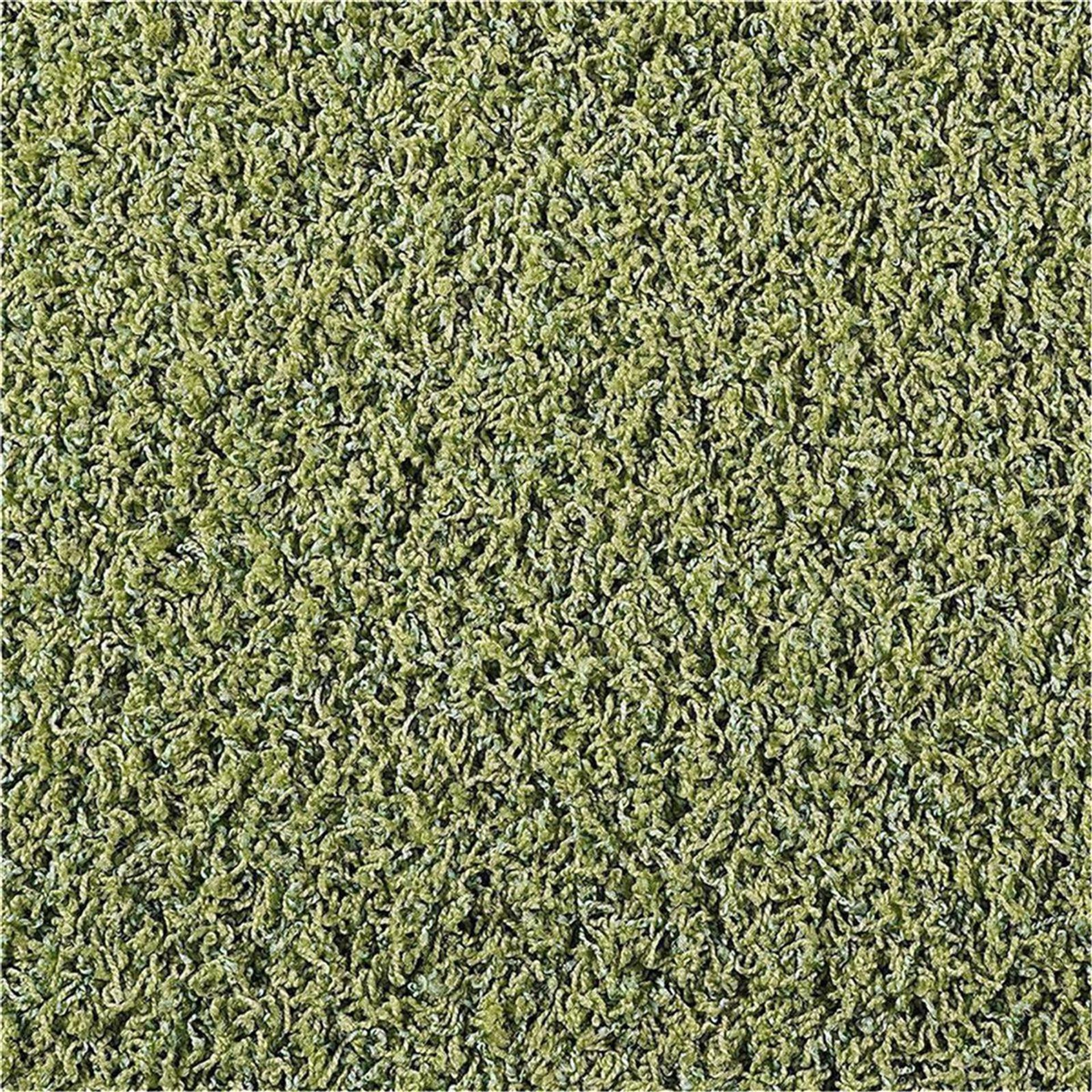 Teppichboden Infloor-Girloon Cottel Shag/Langflor Grün 445 meliert - Rollenbreite 200 cm