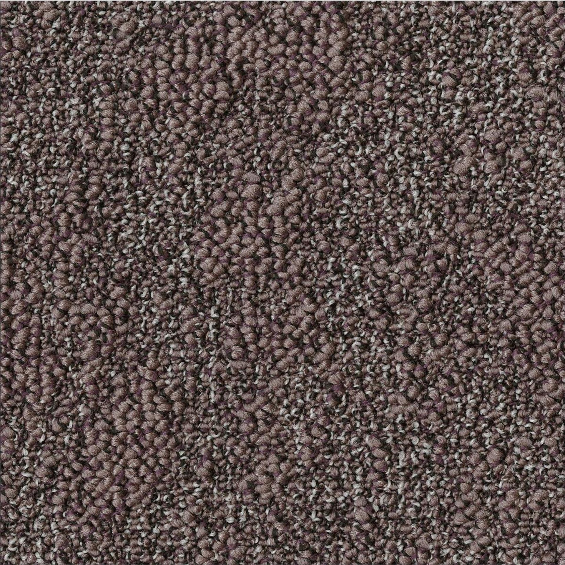 Teppichfliesen 50 x 50 cm Schlinge strukturiert Granite AA88 9004 Lila Organisch