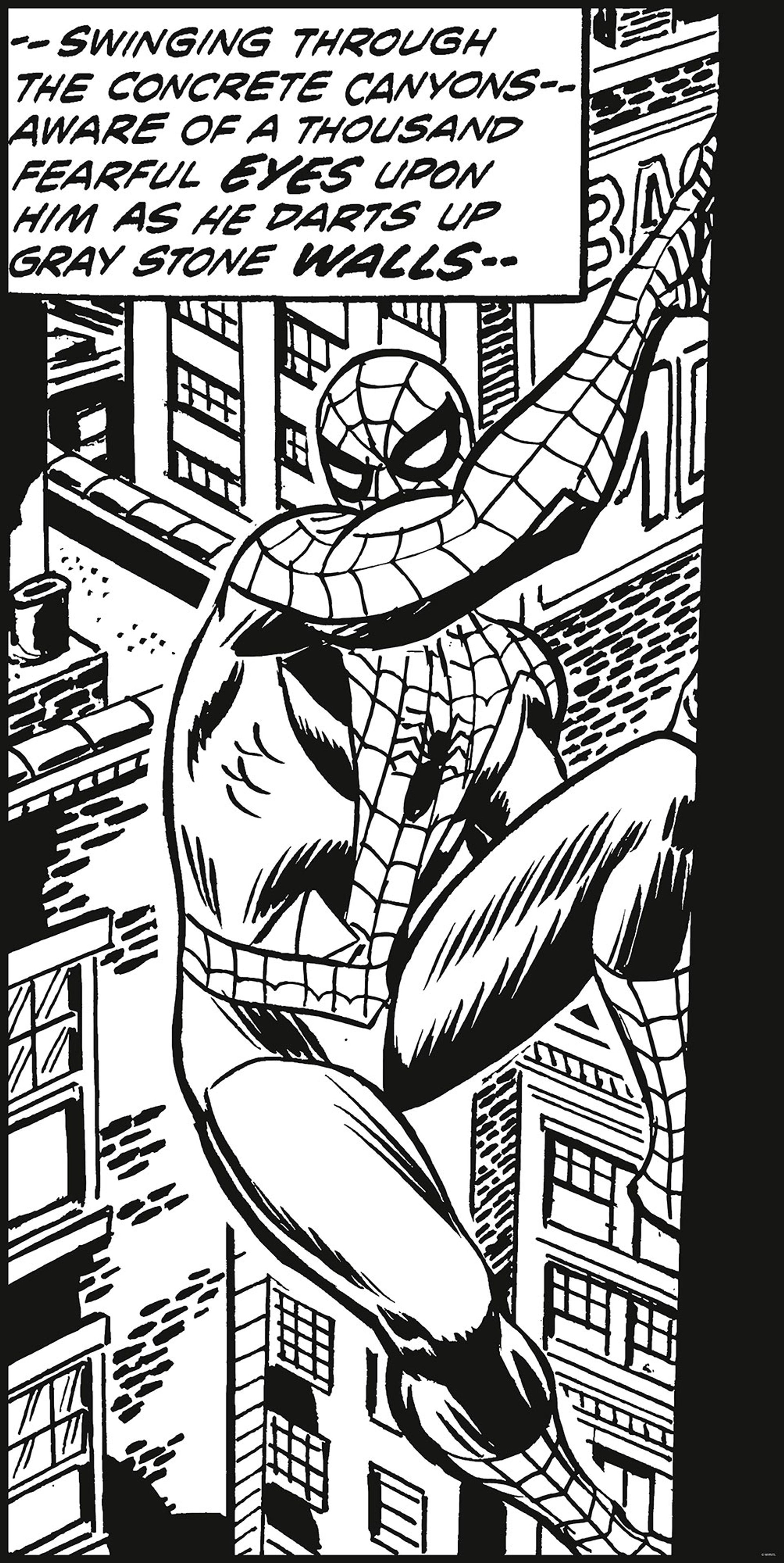 Vlies Fototapete - Spider-Man Classic Climb - Größe 100 x 200 cm