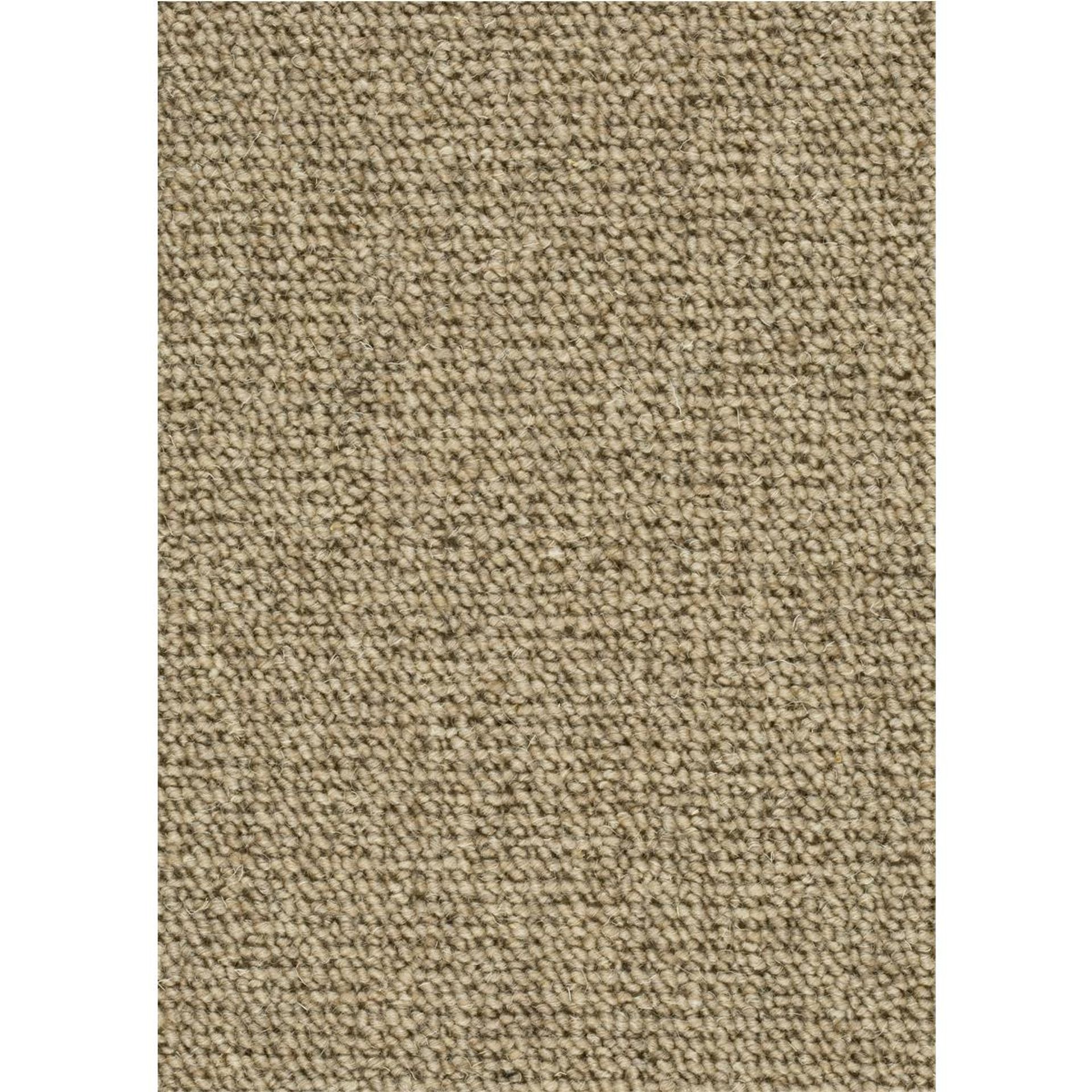 Teppichboden Schurwolle Kennedy Farbe 223 Rollenbreite: 400 cm