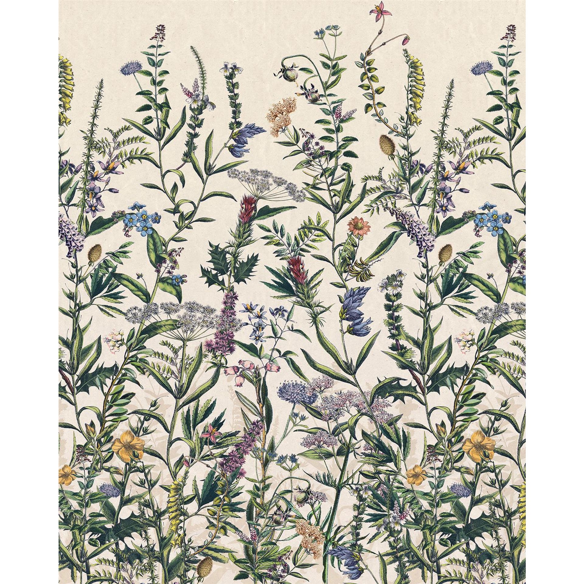 Vlies Fototapete - Flowering Herbs  - Größe 200 x 250 cm