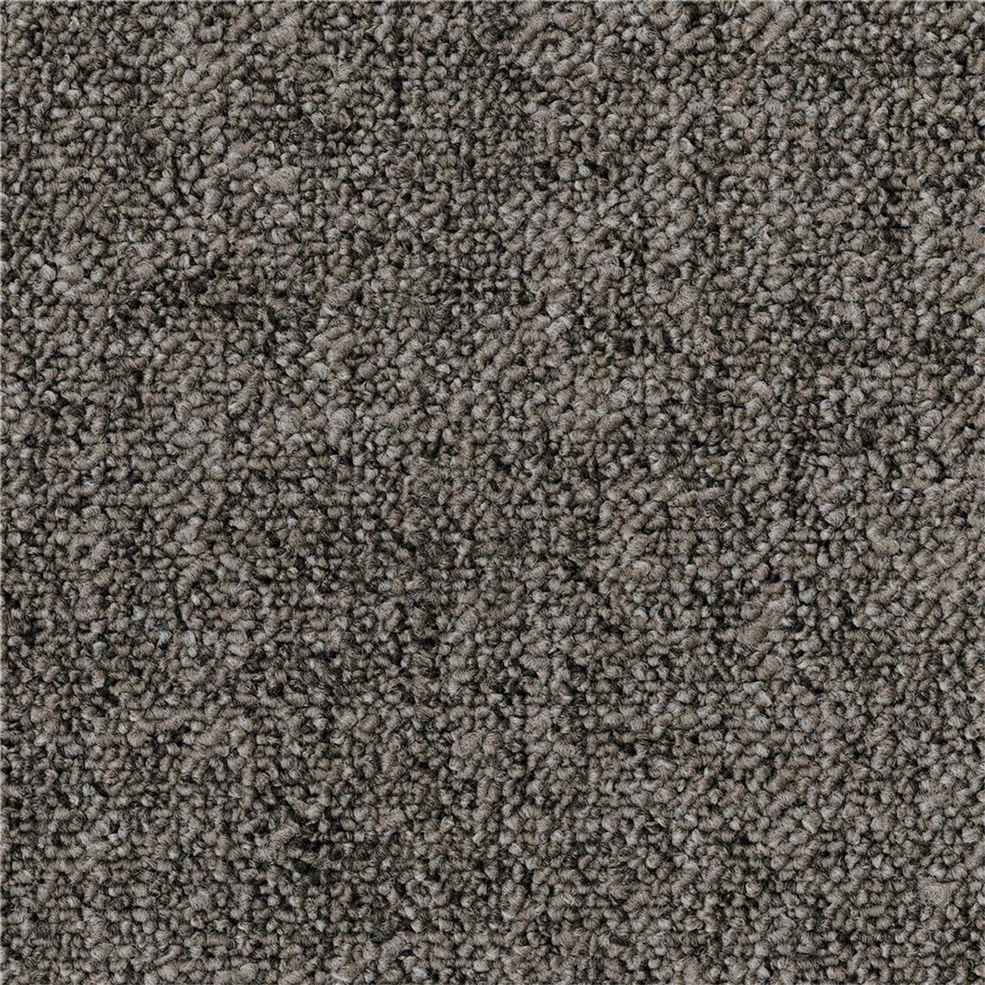 Teppichfliesen 50 x 50 cm Schlinge strukturiert Linon AA83 9093 B8 Grau Textur
