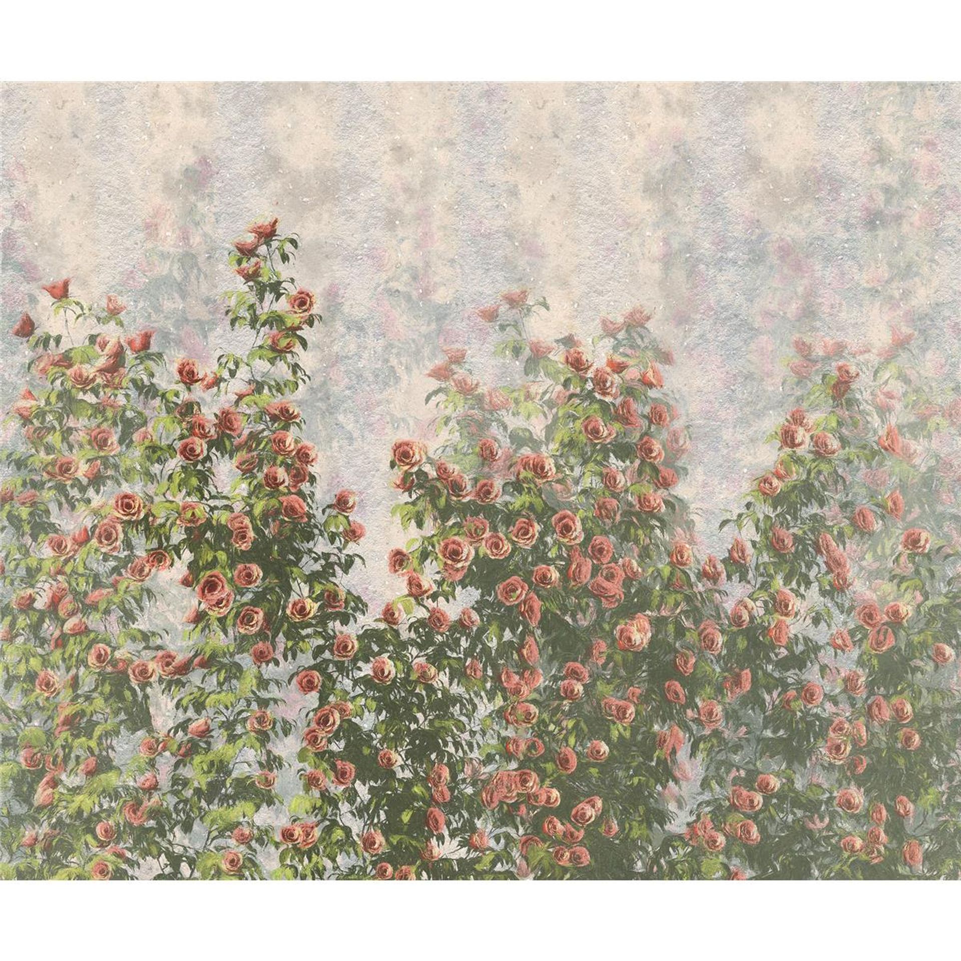 Vlies Fototapete - Wall Roses - Größe 300 x 250 cm