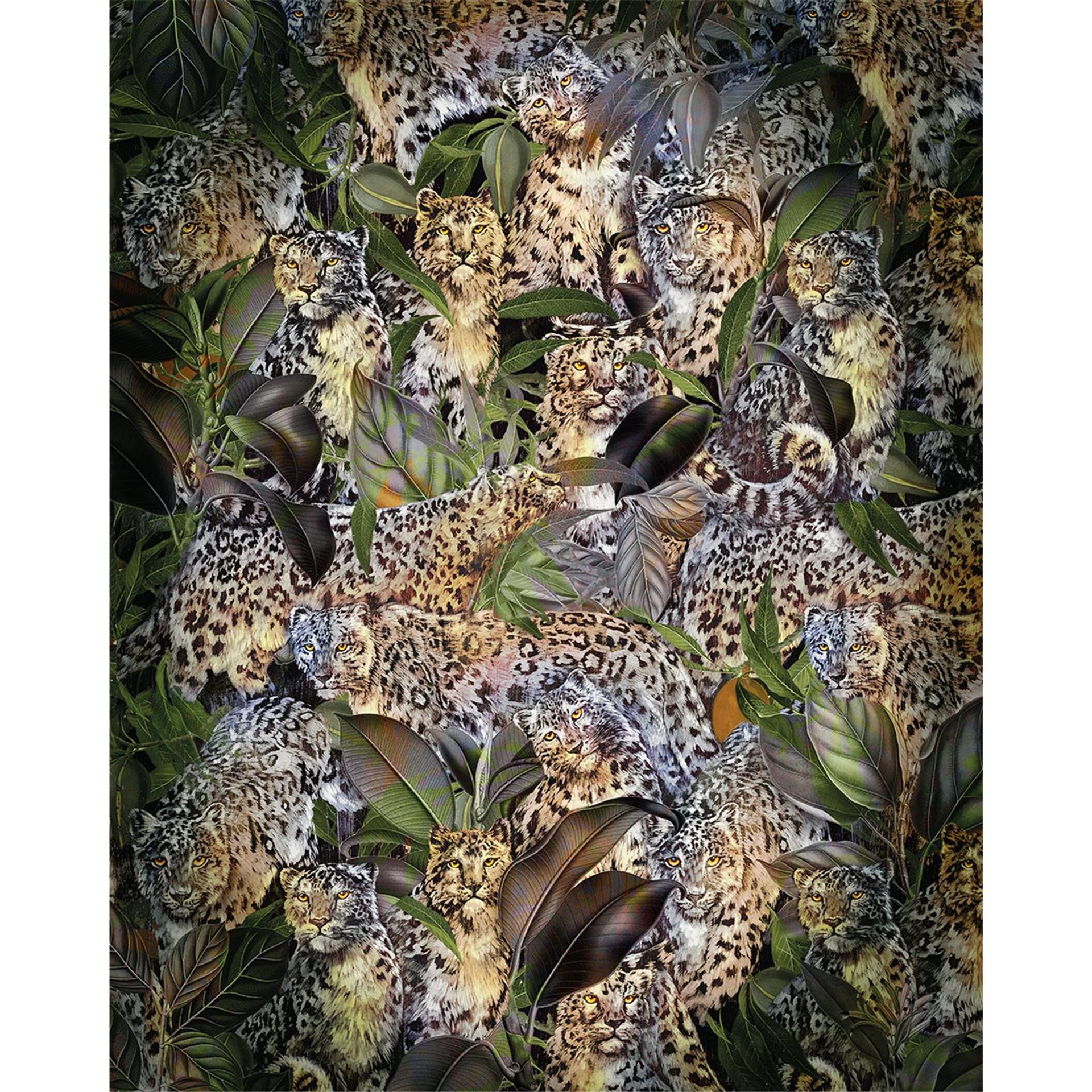 Vlies Fototapete - Wild Cats - Größe 200 x 250 cm