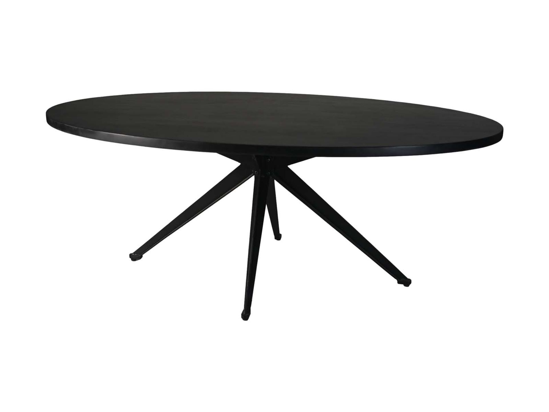 Ovaler Tischplatte Mango EDE-04 Schwarz Mangoholz B/H/T: 100 cm 4 cm 200 cm