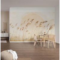 Vlies Fototapete - Dune Grass - Größe 400 x 250 cm