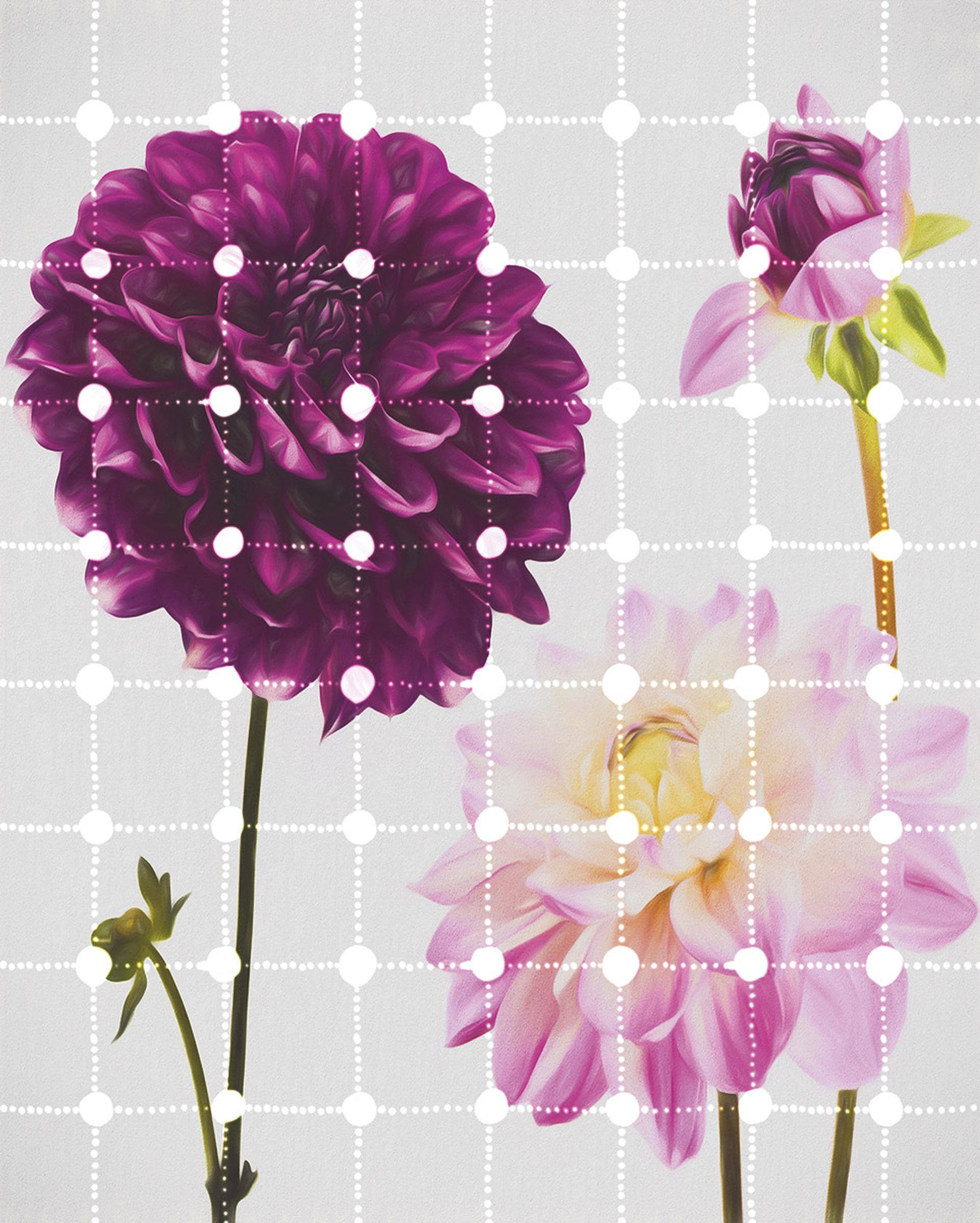 Vlies Fototapete - Flowers & Dots - Größe 200 x 250 cm