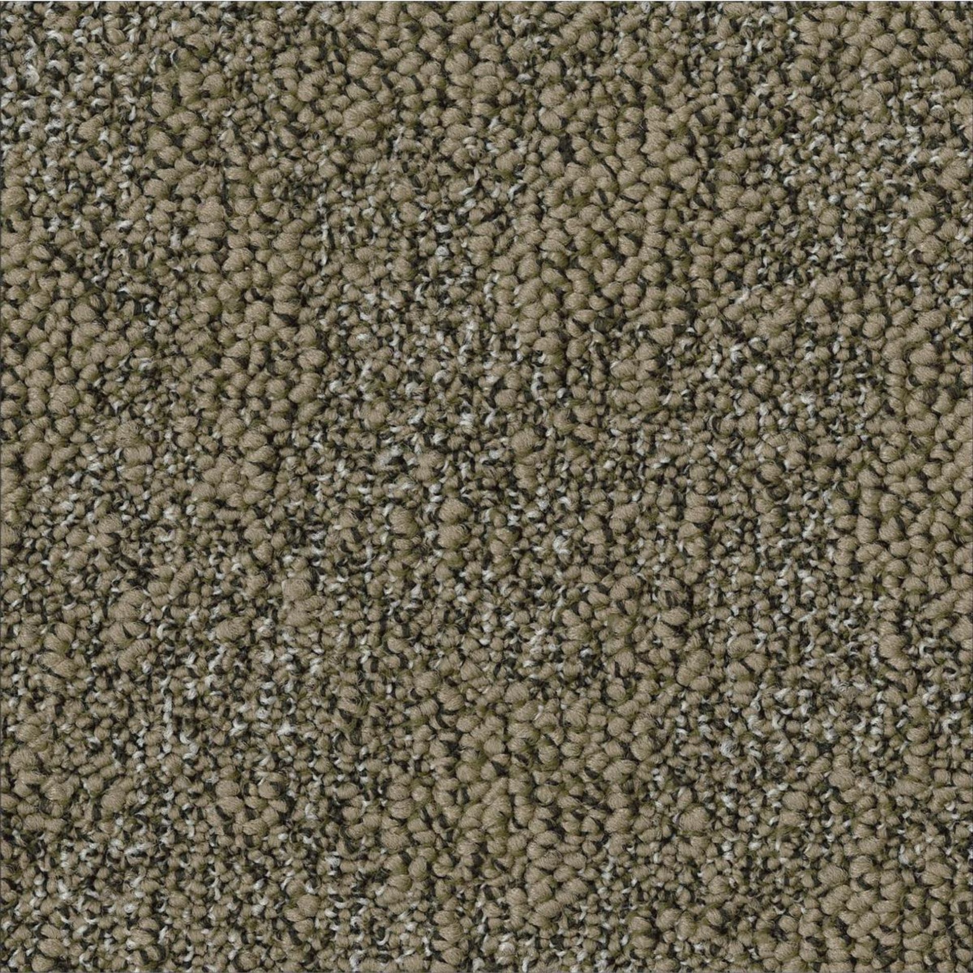 Teppichfliesen 50 x 50 cm Schlinge strukturiert Granite AA88 2904 Beige Organisch