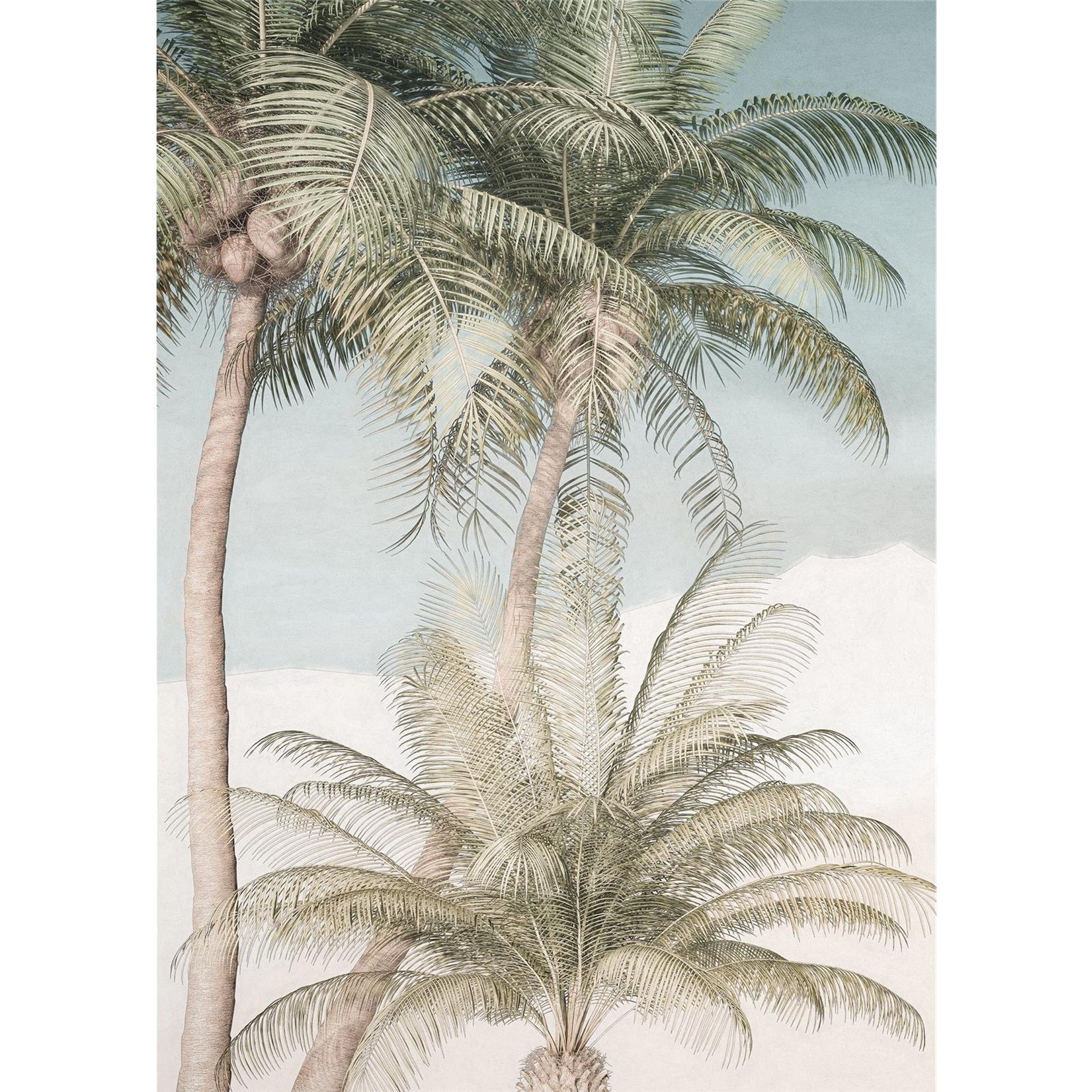 Vlies Fototapete - Palm Oasis - Größe 200 x 280 cm