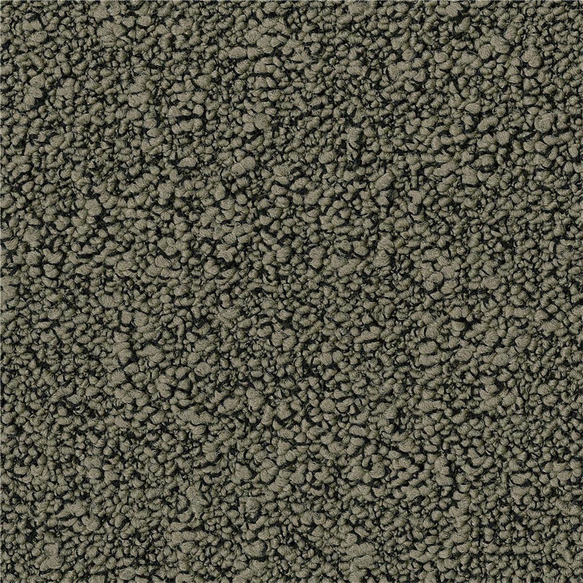 Teppichfliesen 50 x 50 cm Schlinge strukturiert Fields B751 7944 Grün Allover