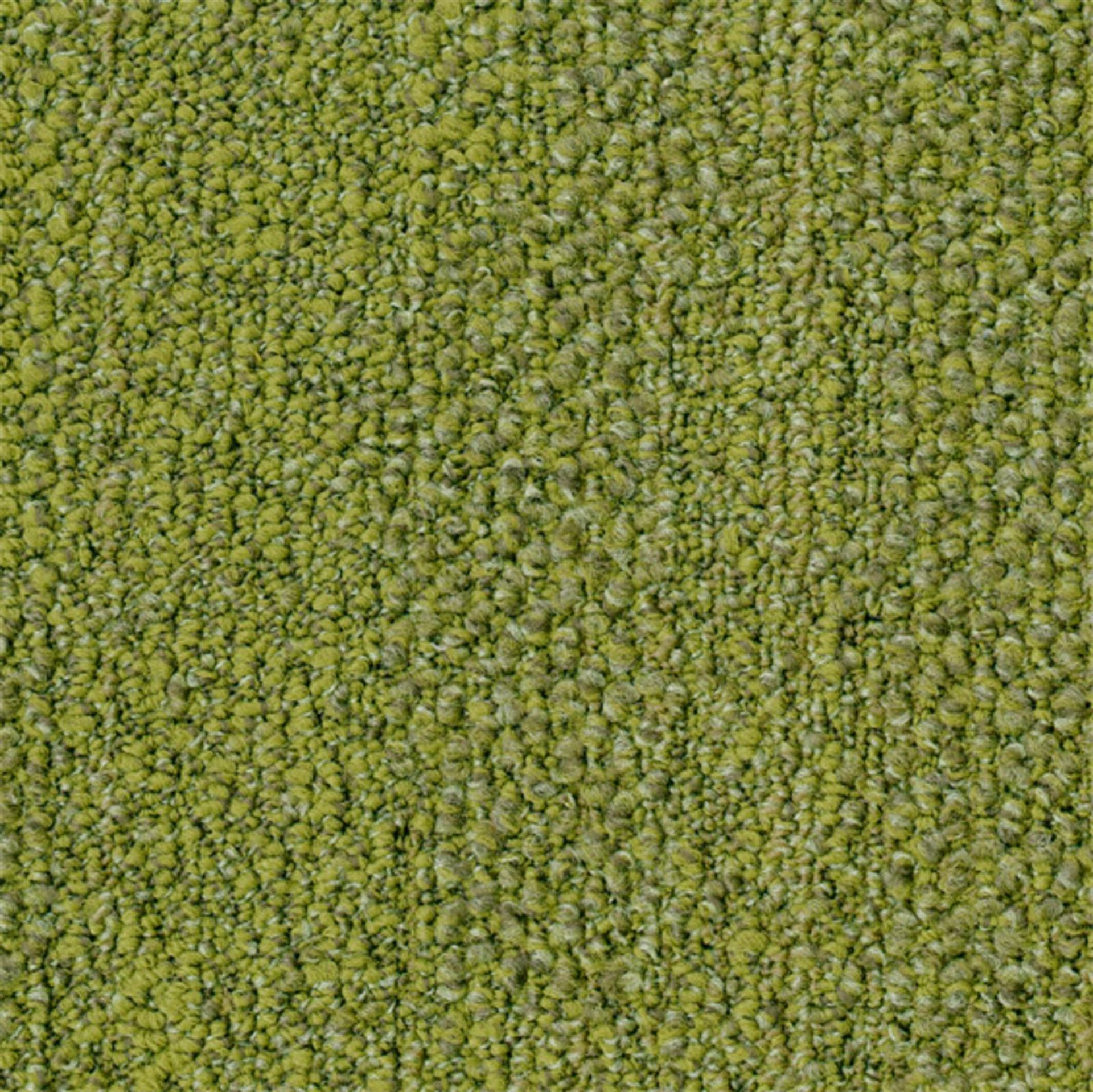 Teppichfliese 50 x 50 cm Schlinge strukturiert Desso Marvel AB49 7073 Grün Organisch