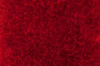Teppich Grace Shaggy Rot 60 cm x 110 cm