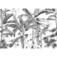 Vlies Fototapete - Croissances Monochrome - Größe 400 x 280 cm