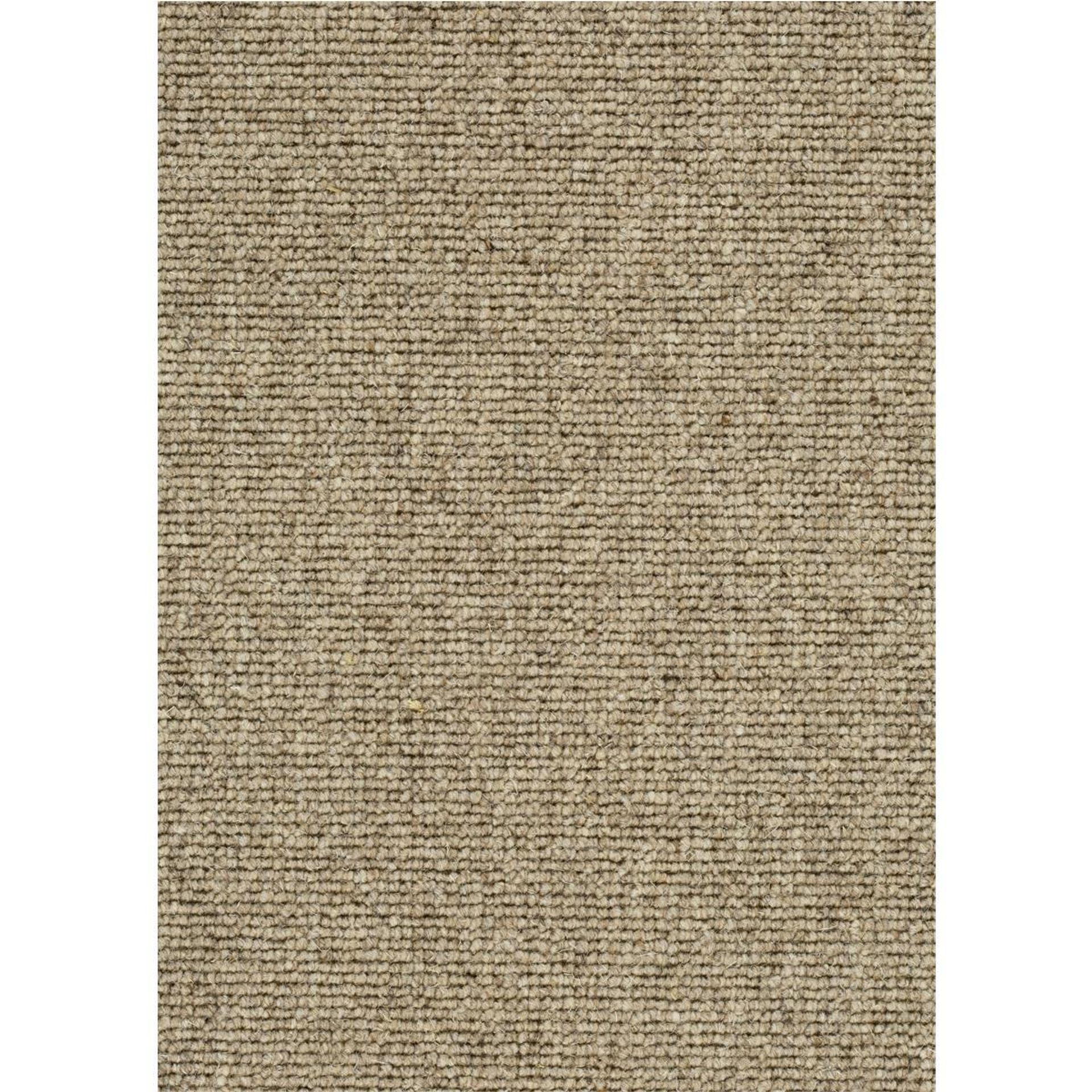 Teppichboden Schurwolle Harvard Farbe 137 Rollenbreite: 500 cm