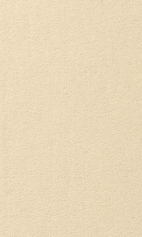 Teppichboden Vorwerk Passion 1000 MODENA Velours Weiß 6A68 - Rollenbreite 500 cm